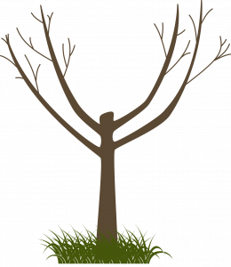 Drawing of a tree growing from a patch of green grass. Main stump has been cut leaving two branches on each side; branches slope upwards forming a V shape in the center.
