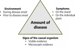 Triangle with text reading "amount of disease" in center and three sides labeled "environment: during disease onset, prior to disease onset," signs of the causal organism: visible evidence, microscopic evidence," and "symptoms: on the stand, on the individual plant."