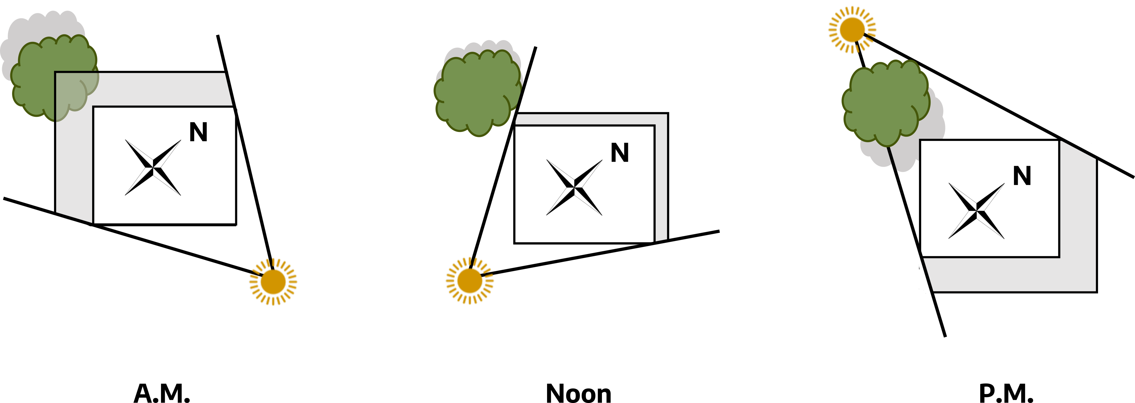 Three cartoon drawings. The first, labeled "A.M.," is a right angle drawn with a thick gray line, on the right side is a compass; the yellow sun drawing is on the lower left corner with the sun rays shown as a 45 degree angle; the green tree is shown at the top left corner with a small gray shadow directly to the top of it. The second, labeled "noon," is a right angle with a thinner gray line facing the right, the sun drawing is at the bottom left corner with a 45 degree angle drawn outwards, the green tree is outside of the angle with a barely visible gray shadow behind it; there is a compass inside of the right angle. The third, labeled "P.M," is a right angle with a thick gray line on the right side, a compass is inside the angle, the sun drawing is placed on the top left corner with a 45 degree angle drawn outwards, the green tree is within this angle on the top left corner, a gray shadow is visible below the tree.