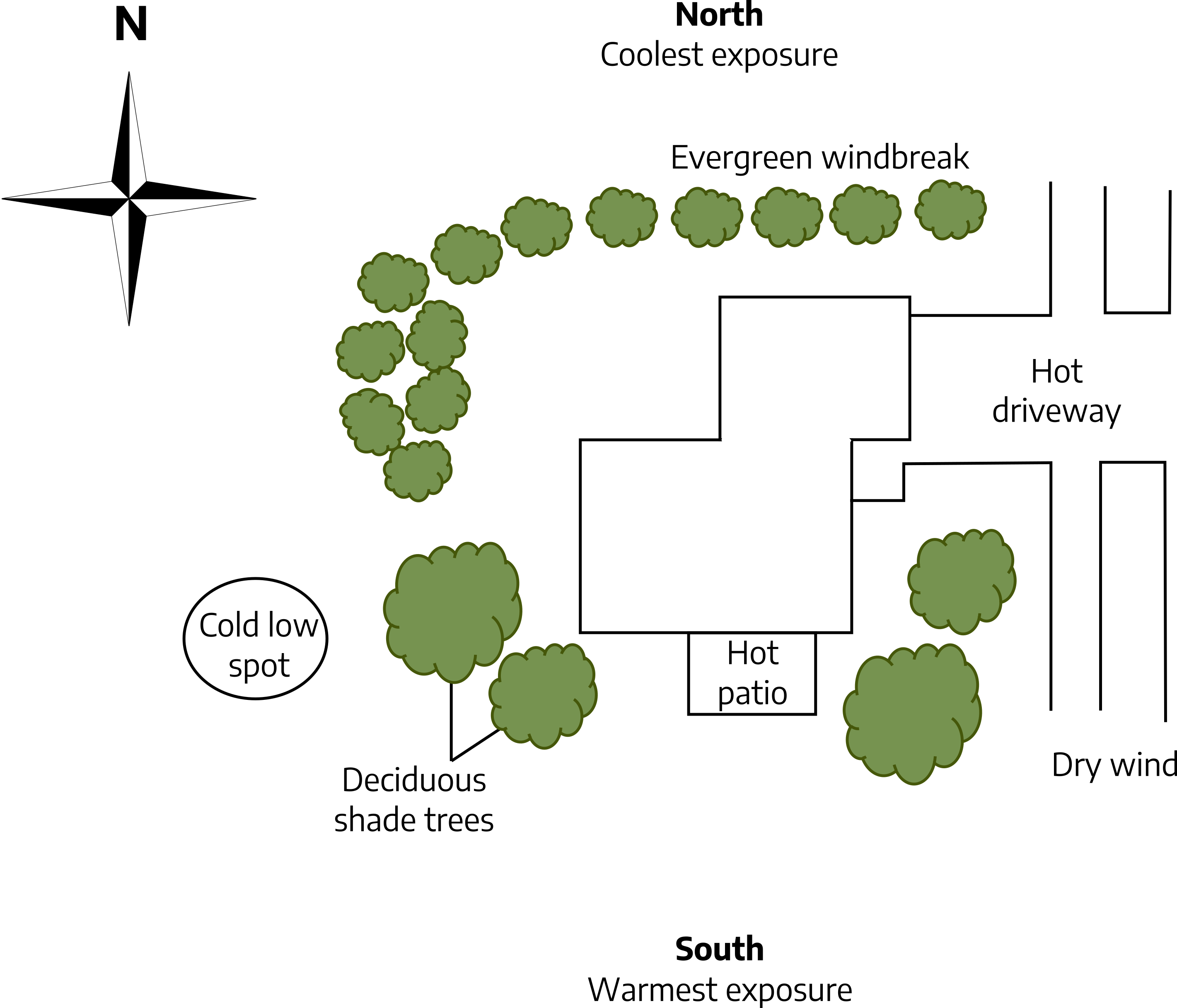 A diagram of a house plan. The house drawing is a thin black line, showing a hot patio, hot driveway. A dry wind is marked on the lower right side, a cold low spot are on the left side of the drawing. Around the house are deciduous shade trees on the lower left and right sides drawn as a round bumpy green shape. On the upper right side of the drawing is an evergreen windbreak shown as smaller round bumpy green shapes. North, the top of the drawing, is coolest exposure; south, the bottom of the drawing, is warmest exposure. There is a compass in the top left corner.