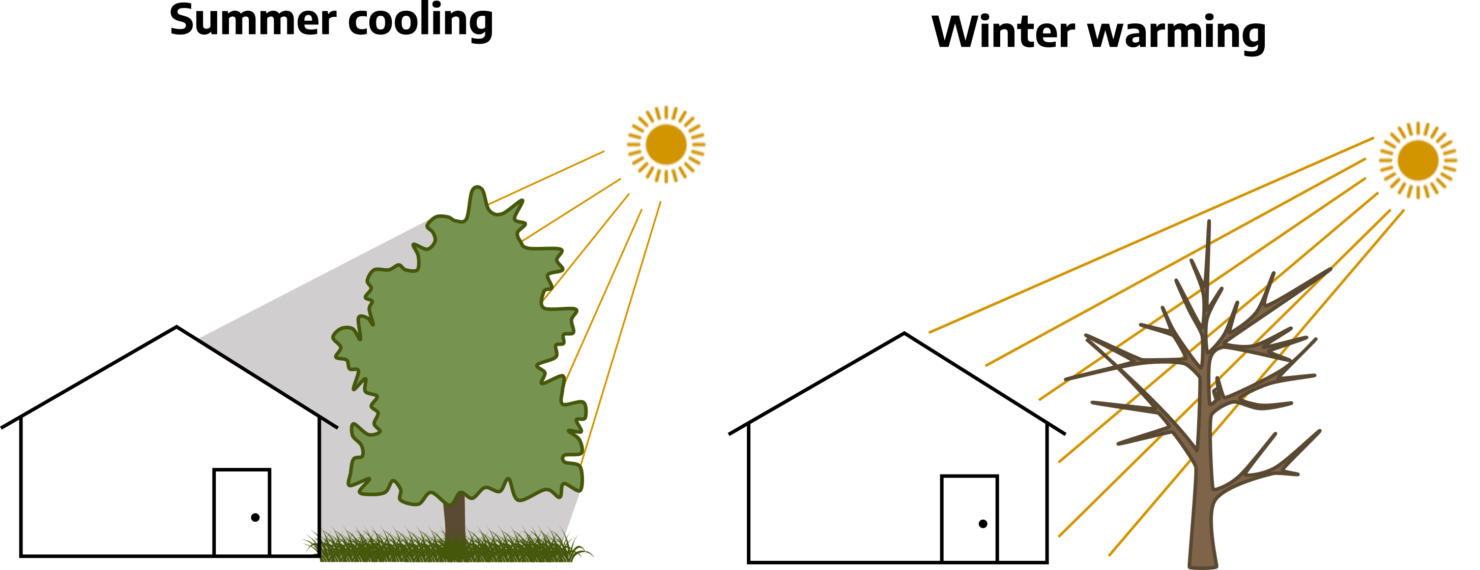 Two drawings. The first, labeled "summer cooling," is a house with a large green tree on the right side; the sun is drawn higher up above the tree, the shade is covering the house from the tree. The second, labeled "winter warming," is a house with a large bare tree on the right side; the sun is drawn higher up above the tree, there is no shade covering the house.