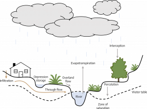 Drawn diagram. From left to right. A slight downwards hill with an arrow pointing down marked, infiltration, with a house. Next is a divot that comes back up to a round mound holding water marked, depression storage. The mound has a plant growing on it that goes into a deeper depression marked, river; the water from the plant into the river is marked, overland flow. The river has an arrow pointing upwards marked, evapotranspiration. The river goes back upwards to a ledge with plants, this ledge goes upwards into another one with a tree growing, an arrow pointing downwards towards the tree marked, interception; an arrow below the tree pointing downwards is marked, percolation. After the tree is another sharp upwards hill with a small green plant. Infiltration has an arrow going towards the river marked, through flow. Below the entire diagram is a dotted line marked water table, with a zone of saturation below. Above the drawing is rain clouds producing rain.
