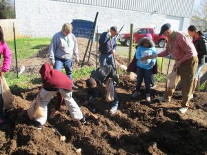 A photograph of extension master gardeners helping to plant a garden while teaching.