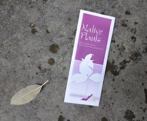 A photograph. A pamphlet with a purple front titled "native plants" with a white outline of a plant. To the left of the pamphlet is a small oblong leaf that goes into a point that is a light green color.