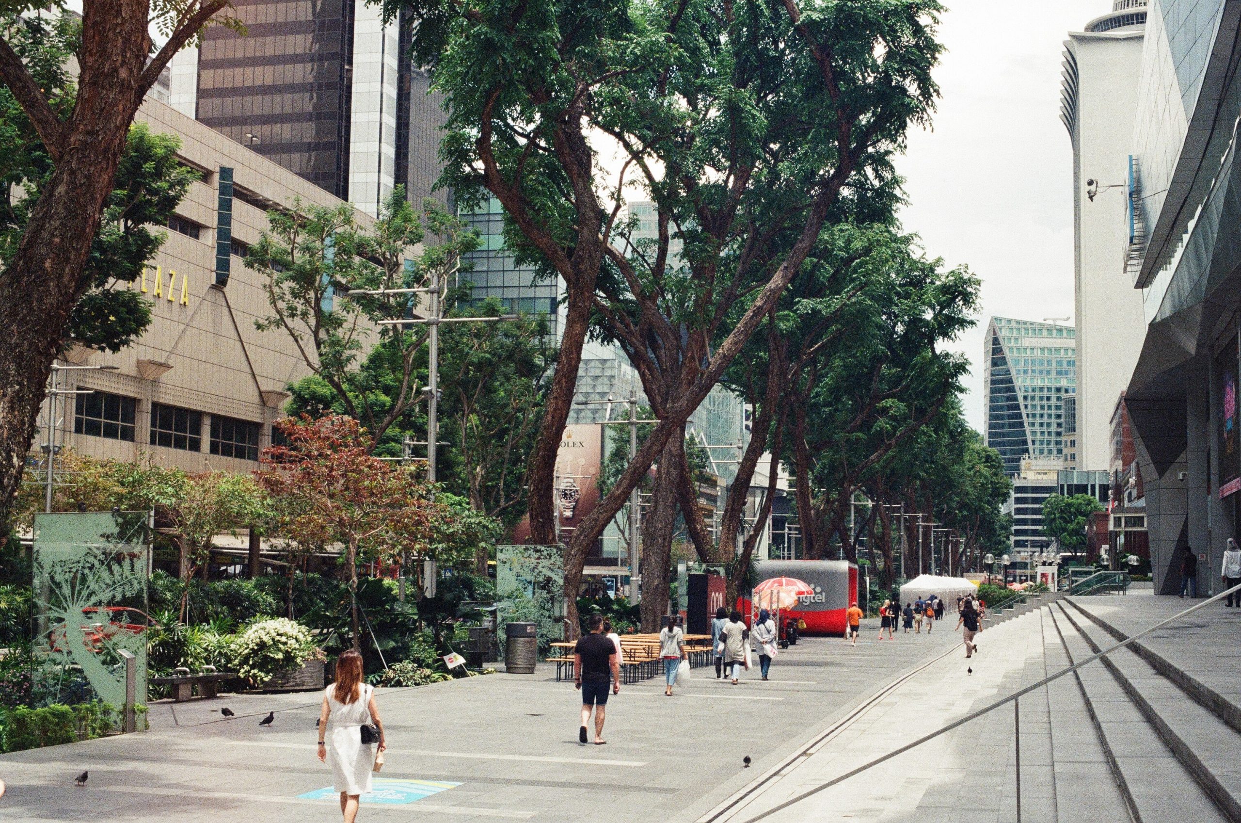 Photo of a sidewalk with pedestrians. Modern shops and Asian trees line both sides of the walkway.