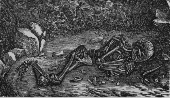 human skeleton on ground
