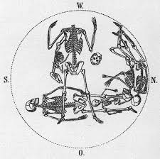 a circle with five skeletons inside the outside of the circle says (in clockwise direction) "W., N., O., S."