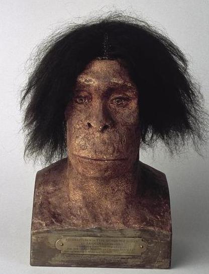 Clay bust of La Quina Neanderthal with frizzy black hair and apelike features