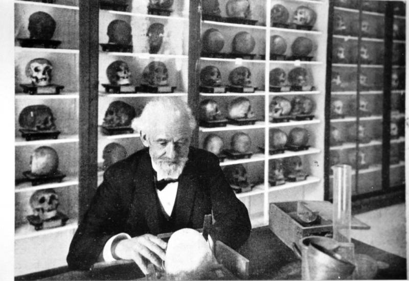 Verneau examining a skull with skulls in display cases in the background