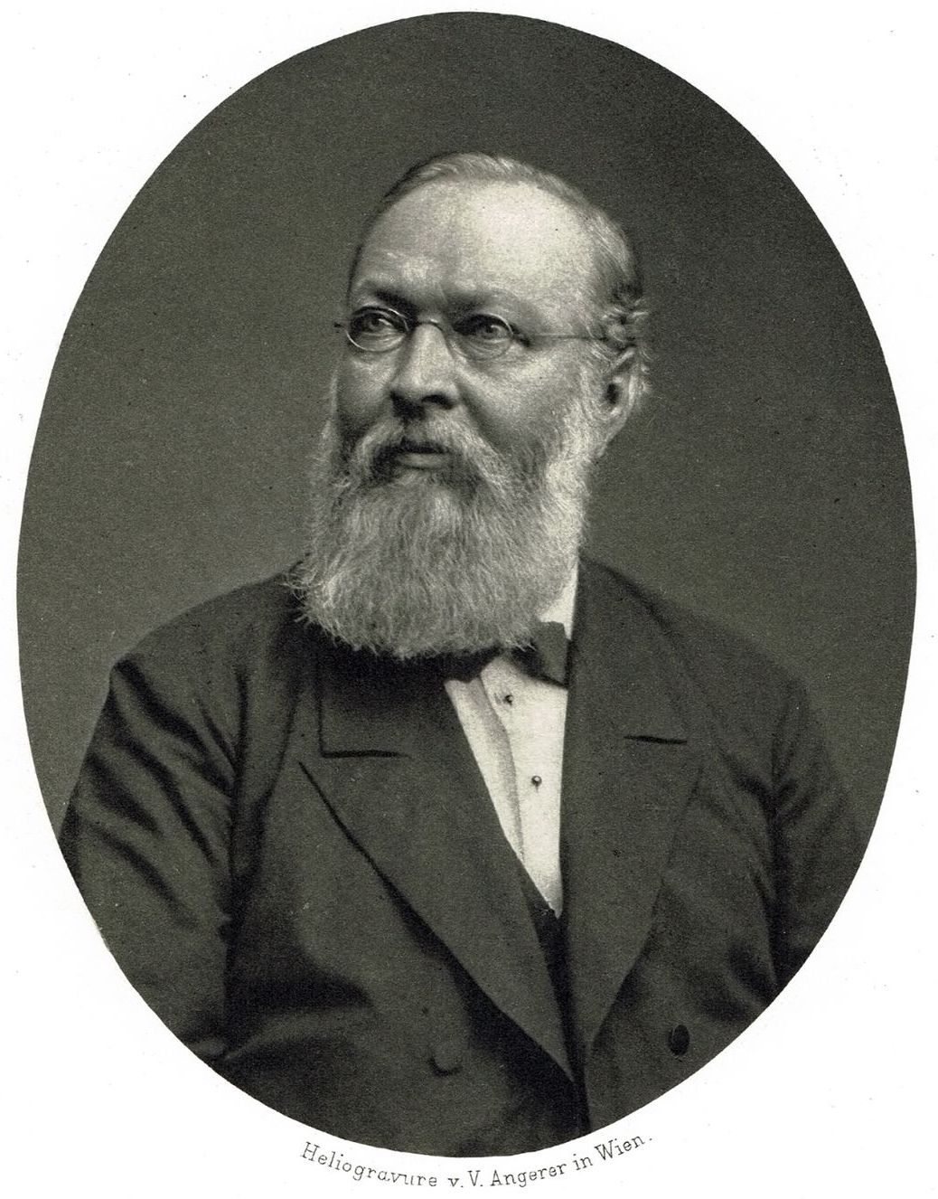Szombathy's mentor Ferdinand von Hochstetter