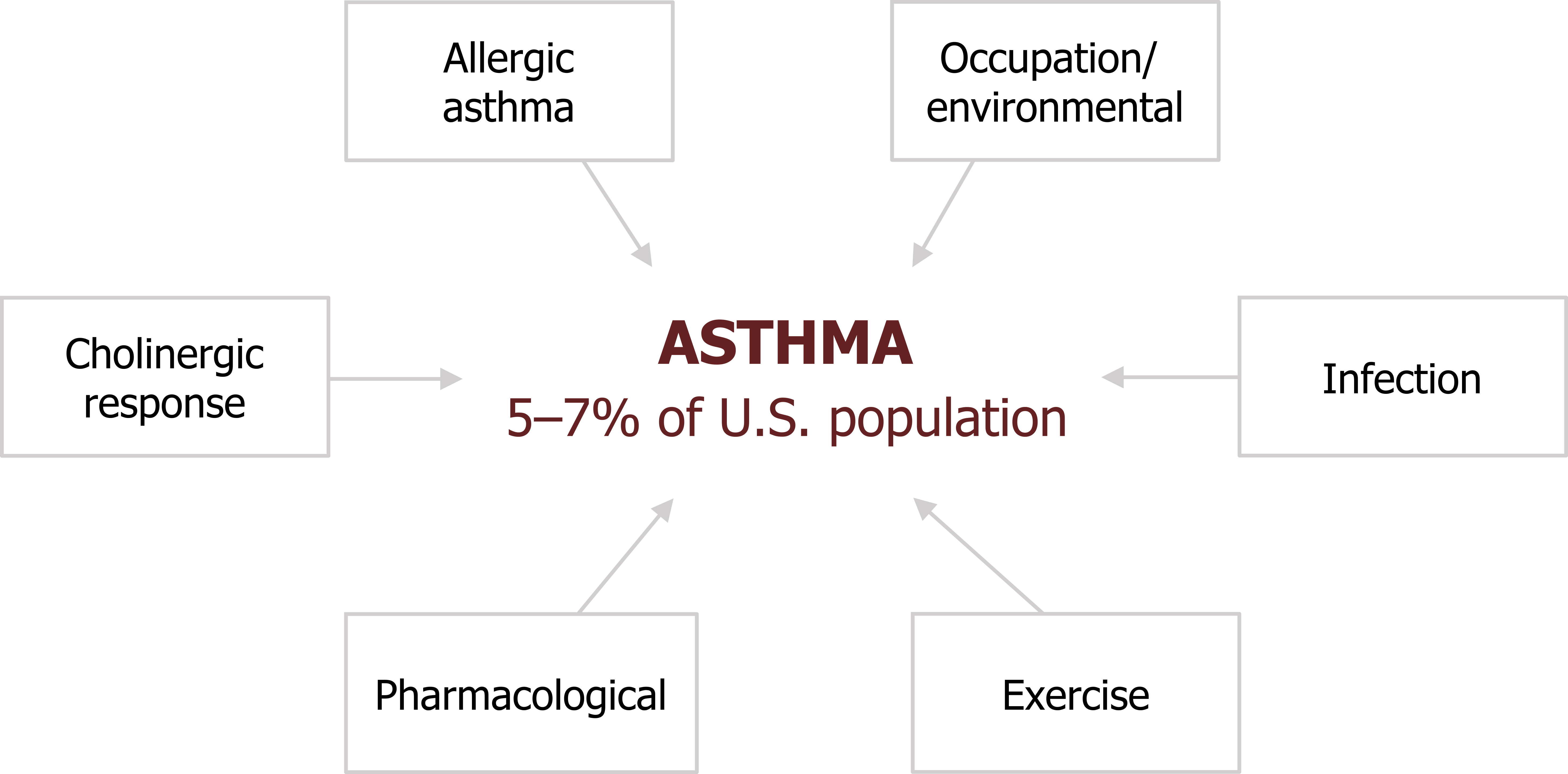 Center circle states: Asthma 5-7% of US population. Multiple rectangles with arrows pointing towards the circle stating allergic asthma, cholinergic response, pharmacological, occupation/environmental, infection, and exercise