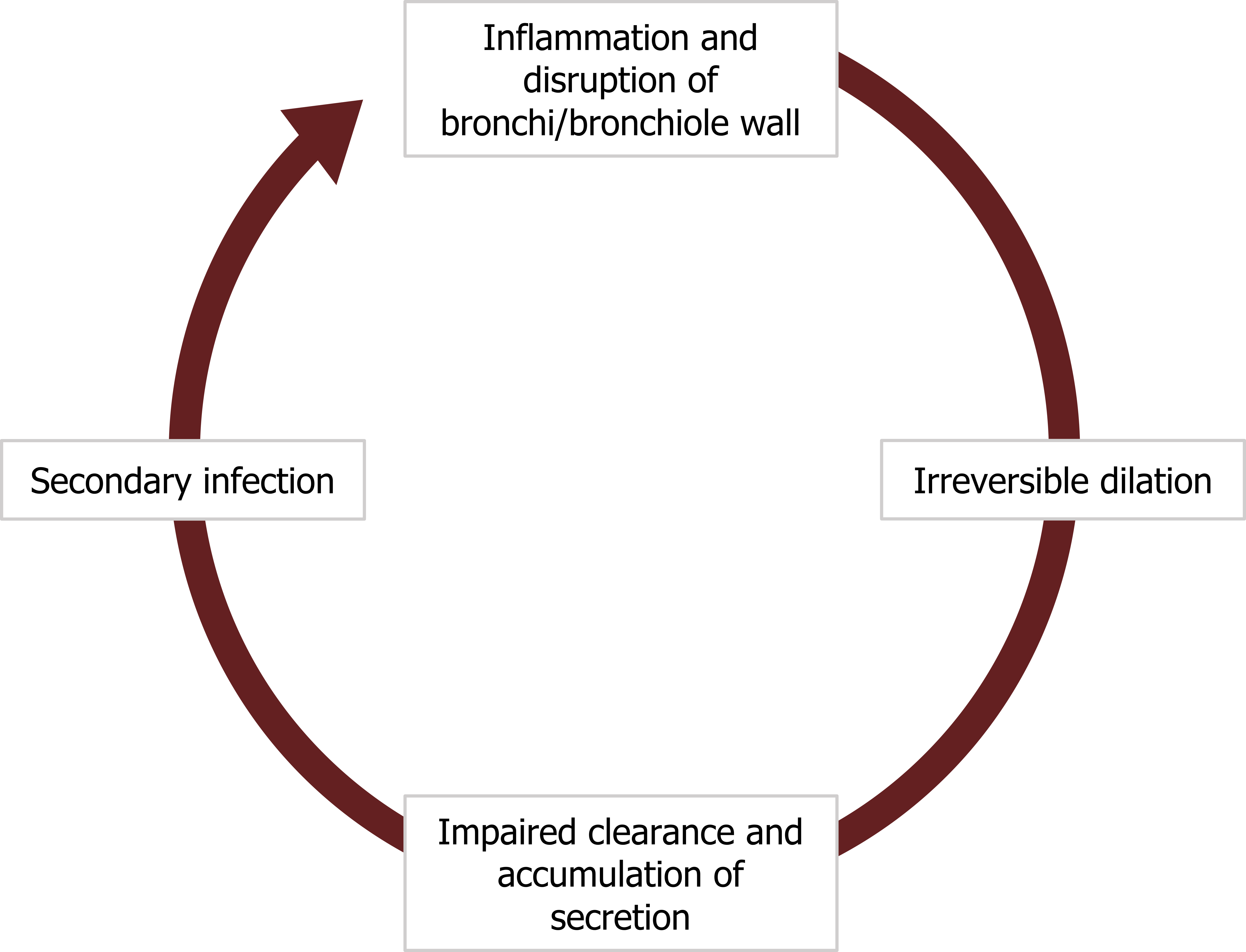 Circular arrows beginning with inflammation and disruption of bronchi/bronchiole wall arrow to irreversible dilation arrow to impaired clearance and accumulation of secretion arrow to secondary infection arrow to beginning