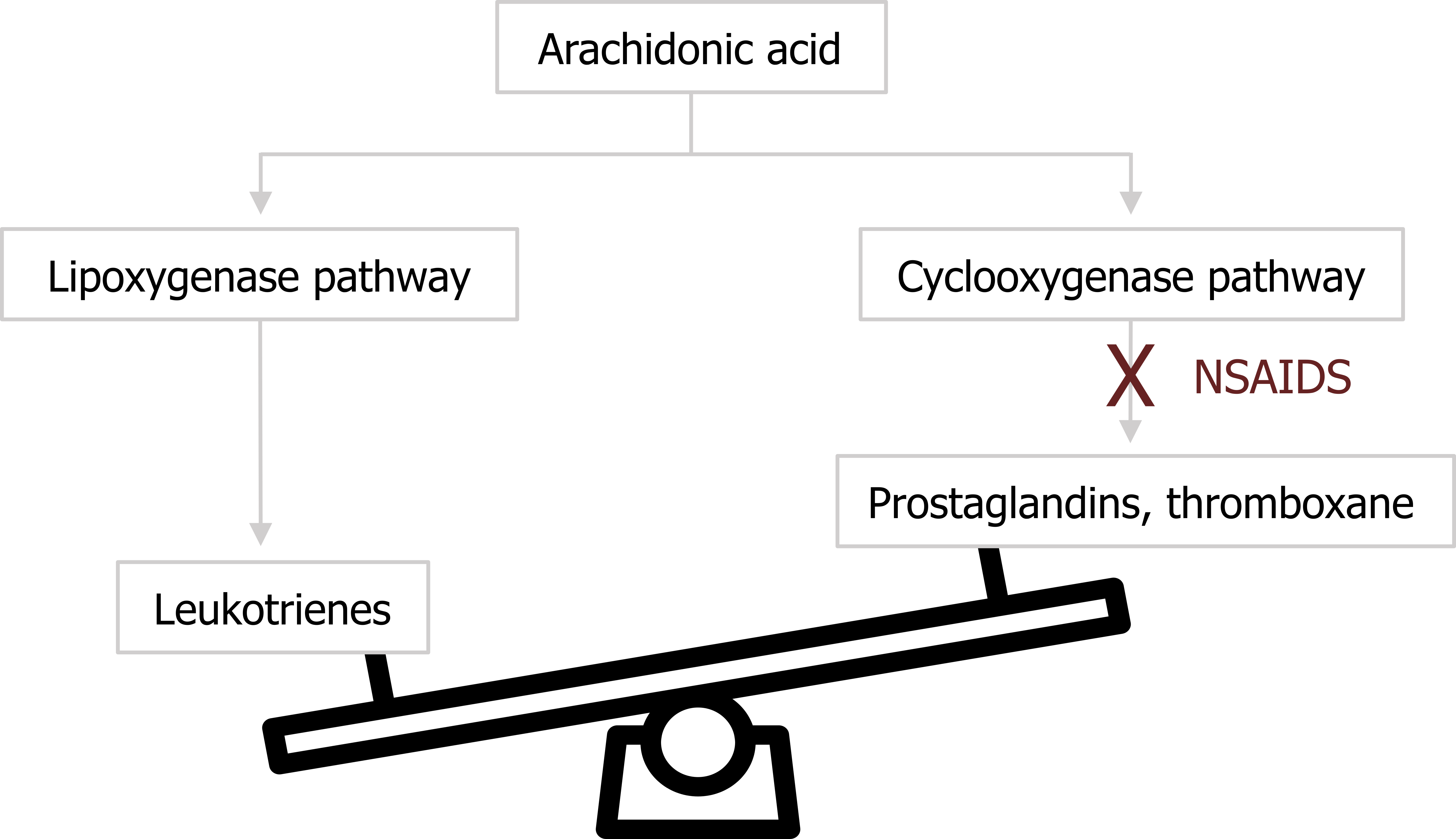 Arachidonic acid arrow lipoxygenase pathway arrow leukotrienes. Arachidonic acid arrow cyclooxygenase pathway arrow with X on it and text NSAIDS to prostaglandins, thromboxane. Image of a scale with leukotrienes lower than prostaglandins, thromboxane