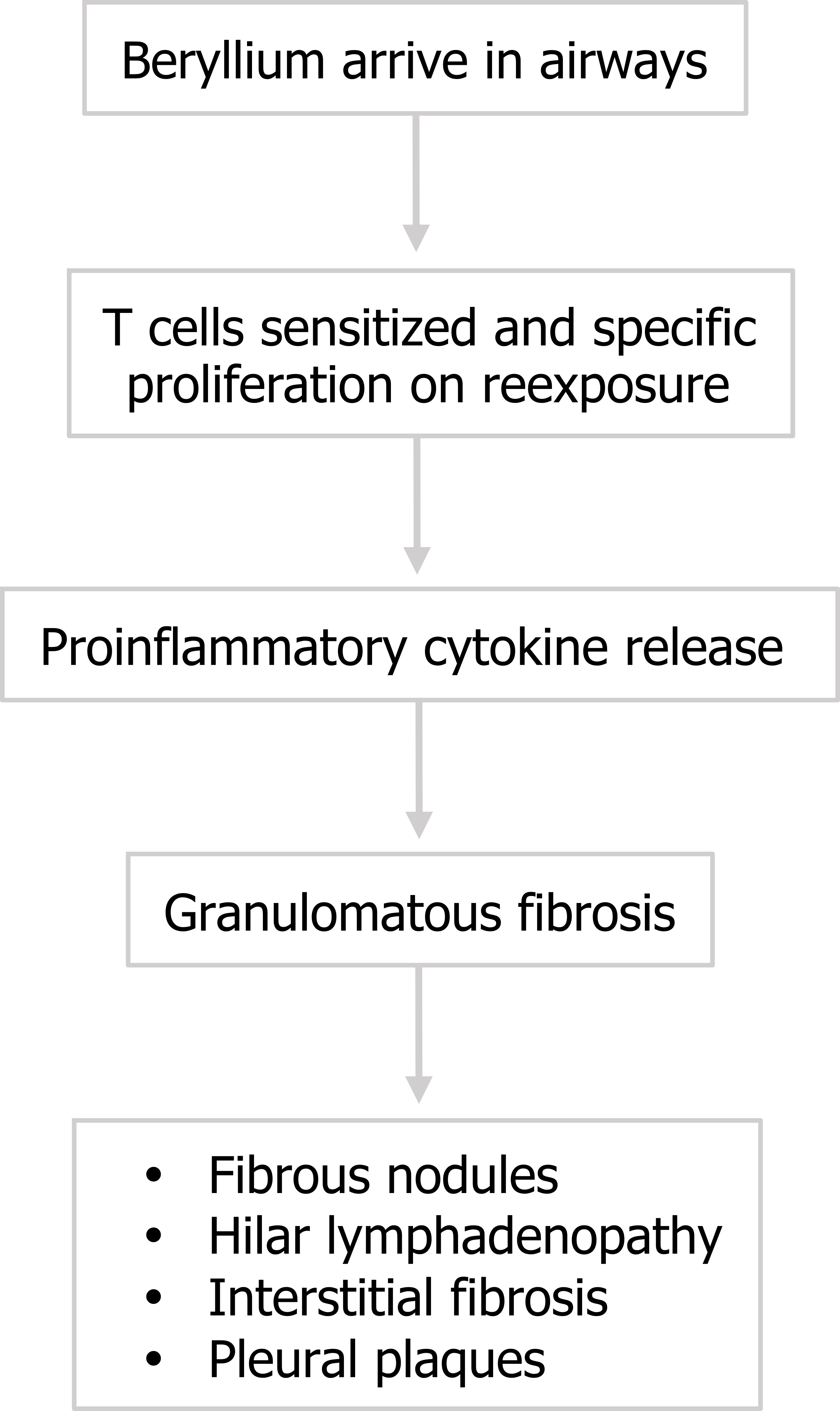 Beryllium arrives in airways arrow to T-cells sensitized and specific proliferation on re-exposure arrow to pro-inflammatory cytokine release arrow to granulomatous fibrosis arrow to fibrous nodules, hilar lymphadenopathy, interstitial fibrosis, pleural plaques