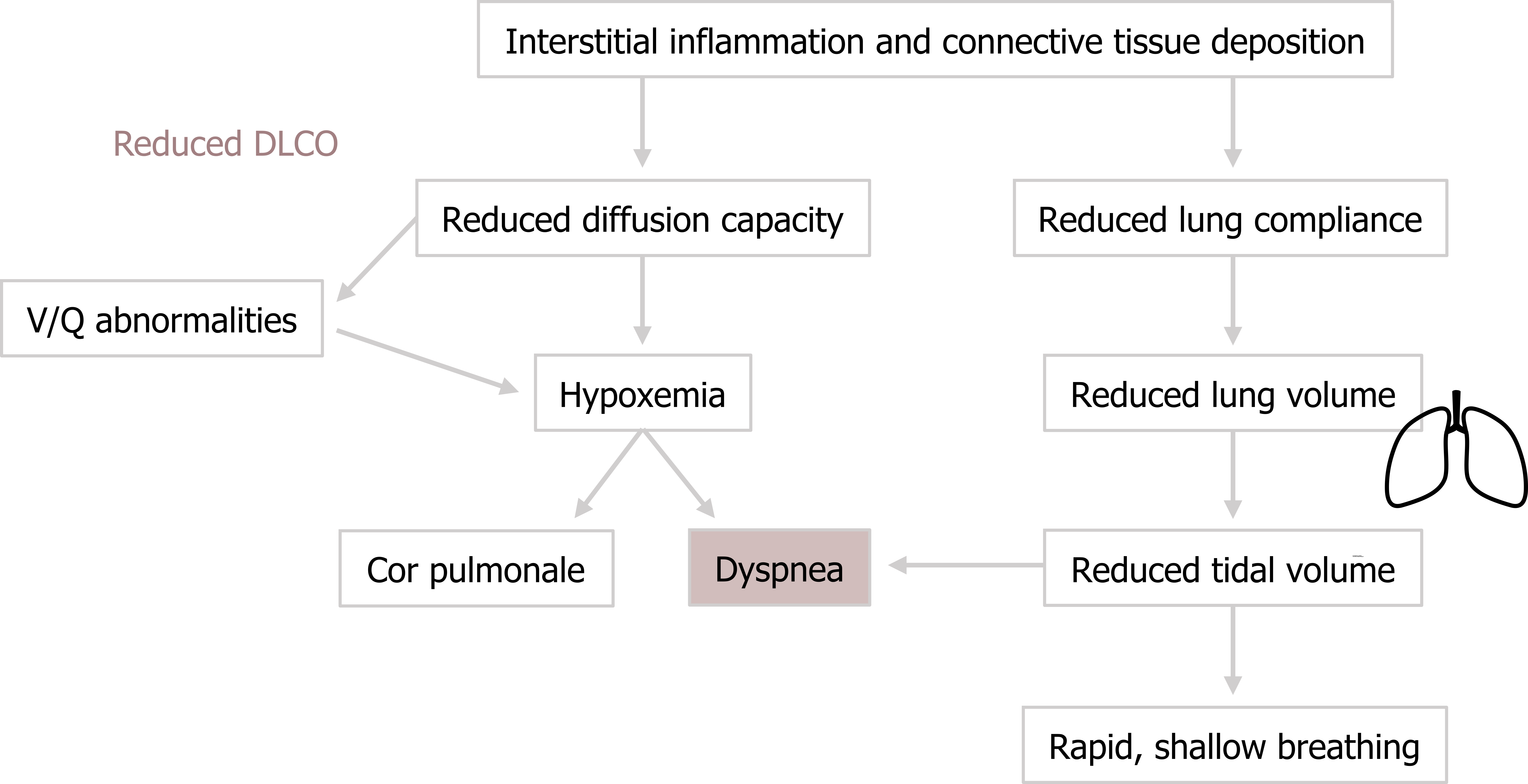 Interstitial inflammation and connective tissue deposition arrow to reduced diffusion capacity arrow to hypoxemia arrows to cor pulmonale and dyspnea. Reduced diffusion capacity arrow to V/Q abnormalities arrow to hypoxemia. Interstitial inflammation and connective tissue deposition arrow to reduced lung compliance arrow to reduced lung volume arrow to reduced tidal volume arrows to dyspnea and rapid shallow breathing.