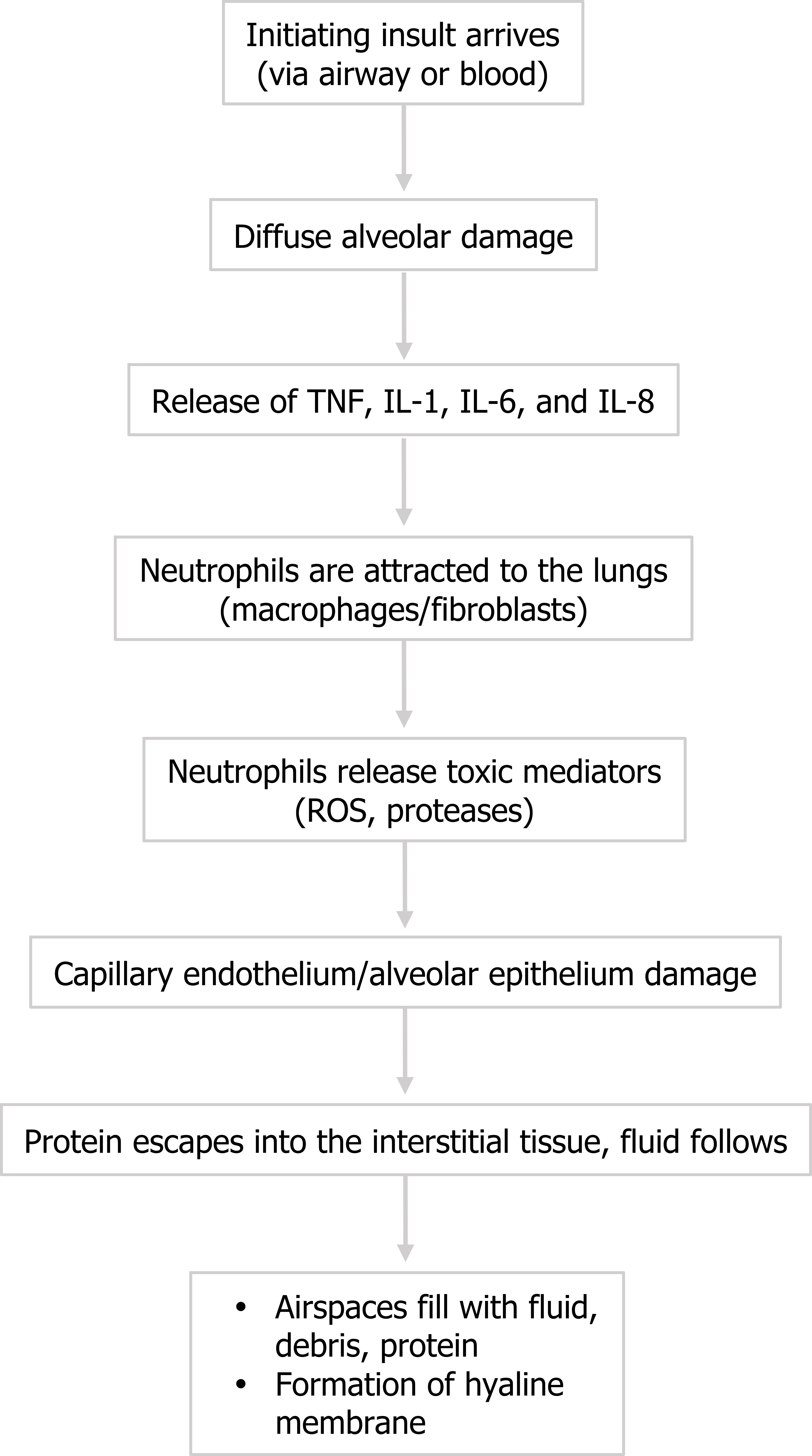Initiating insult arrives (via airway or blood) arrow to diffuse alveolar damage arrow to release of TNF, IL-1, IL-6 and IL-8 arrow to neutrophils attracted to the lungs (macrophages/fibroblasts) arrow to neutrophils release toxic mediators (ROS, proteases) arrow to capillary endothelium/alveolar epithelium damage arrow to protein escapes into the interstitial tissue, fluid follows arrow to airspaces fill with fluid, debris, protein and formation of hyaline membrane.