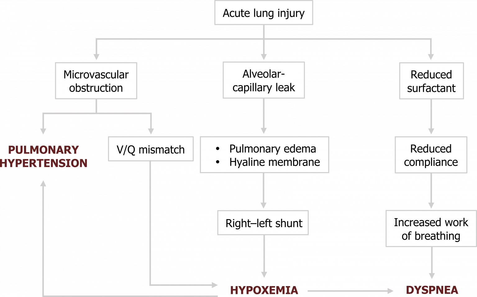 Acute Respiratory Distress Syndrome – Pulmonary Pathophysiology For Pre ...