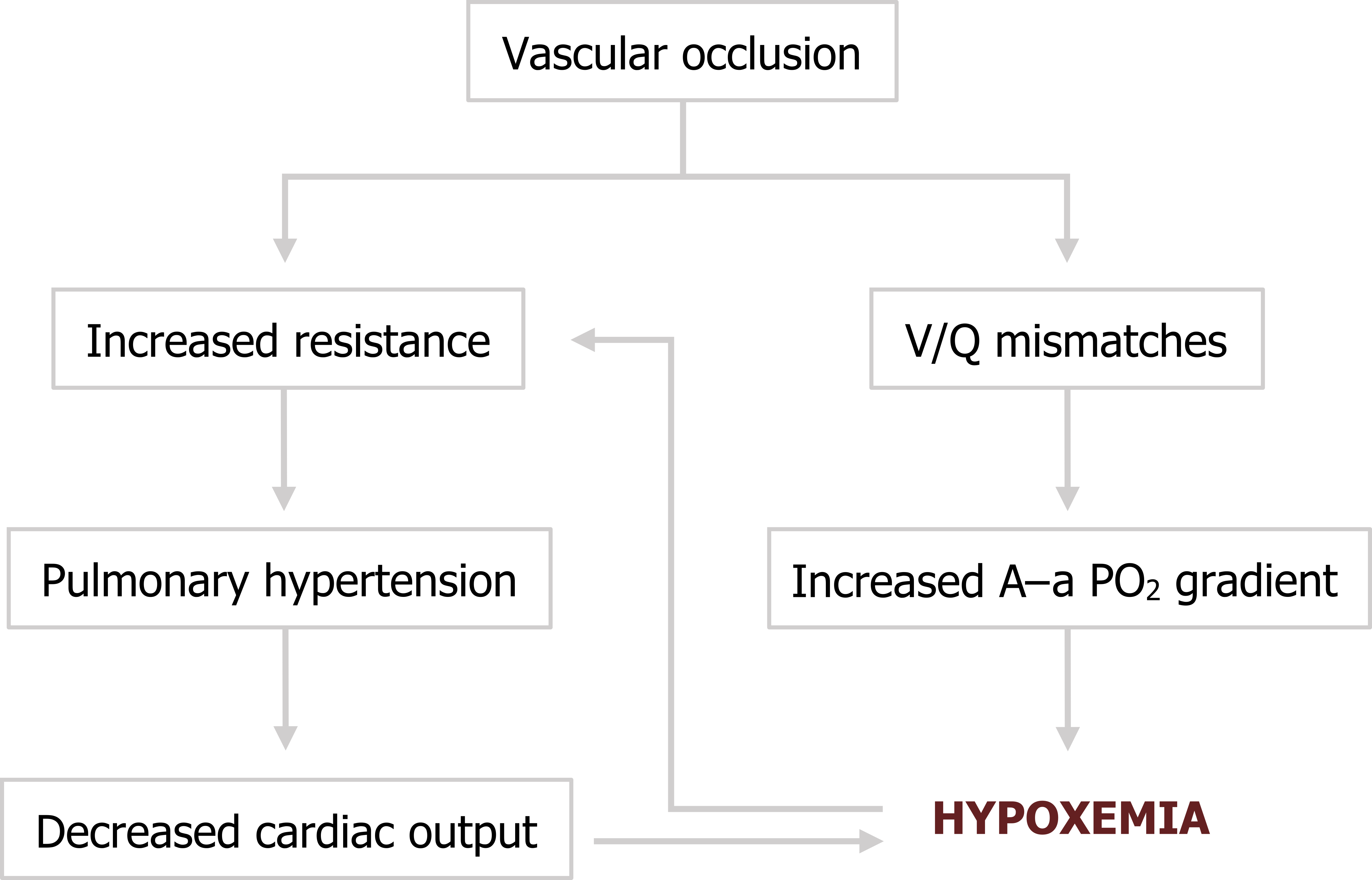 Vascular occlusion arrow to increased resistance arrow to pulmonary hypertension arrow to decreased cardiac output arrow to hypoxemia. Vascular occlusion arrow to V/Q mismatches arrow to increased A-a PO2 gradient arrow to hypoxemia. Hypoxemia arrow to increased resistance