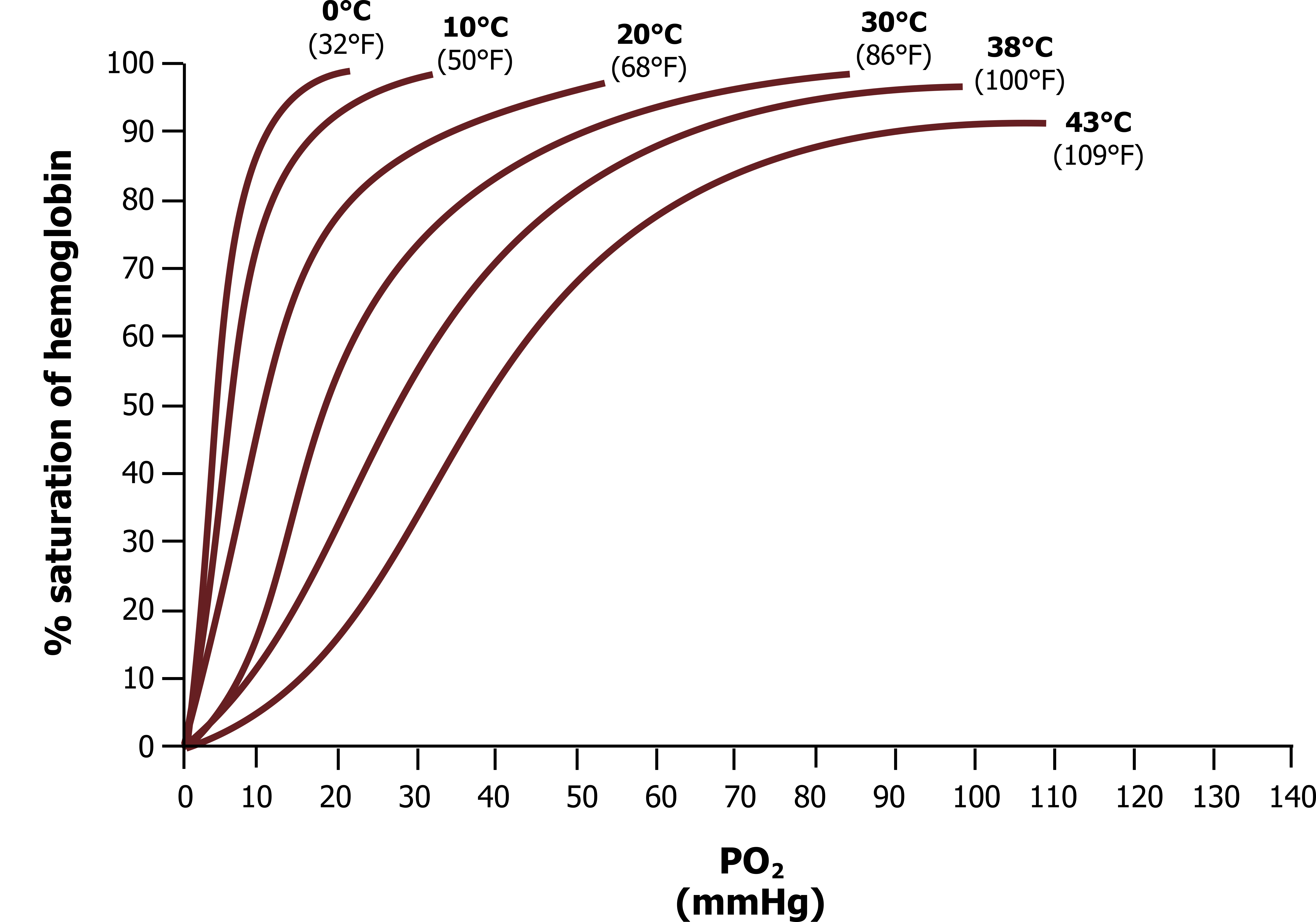 Graph with y-axis labeled % saturation of hemoglobin ranging from 0 to 100 and x-axis labeled P O2 (mmHg) ranging from 0 to 140. Oxyhemoglobin dissociation at various temperatures. 6 curves labeled with differing temperatures, all beginning at (0,0). 0℃ ends at (20, 99). 10℃ ends at (32, 99). 20℃ ends at (53, 98). 30℃ ends at (85, 98). 38℃ ends at (98, 96). 43℃ ends at (109, 90). All values are approximate.