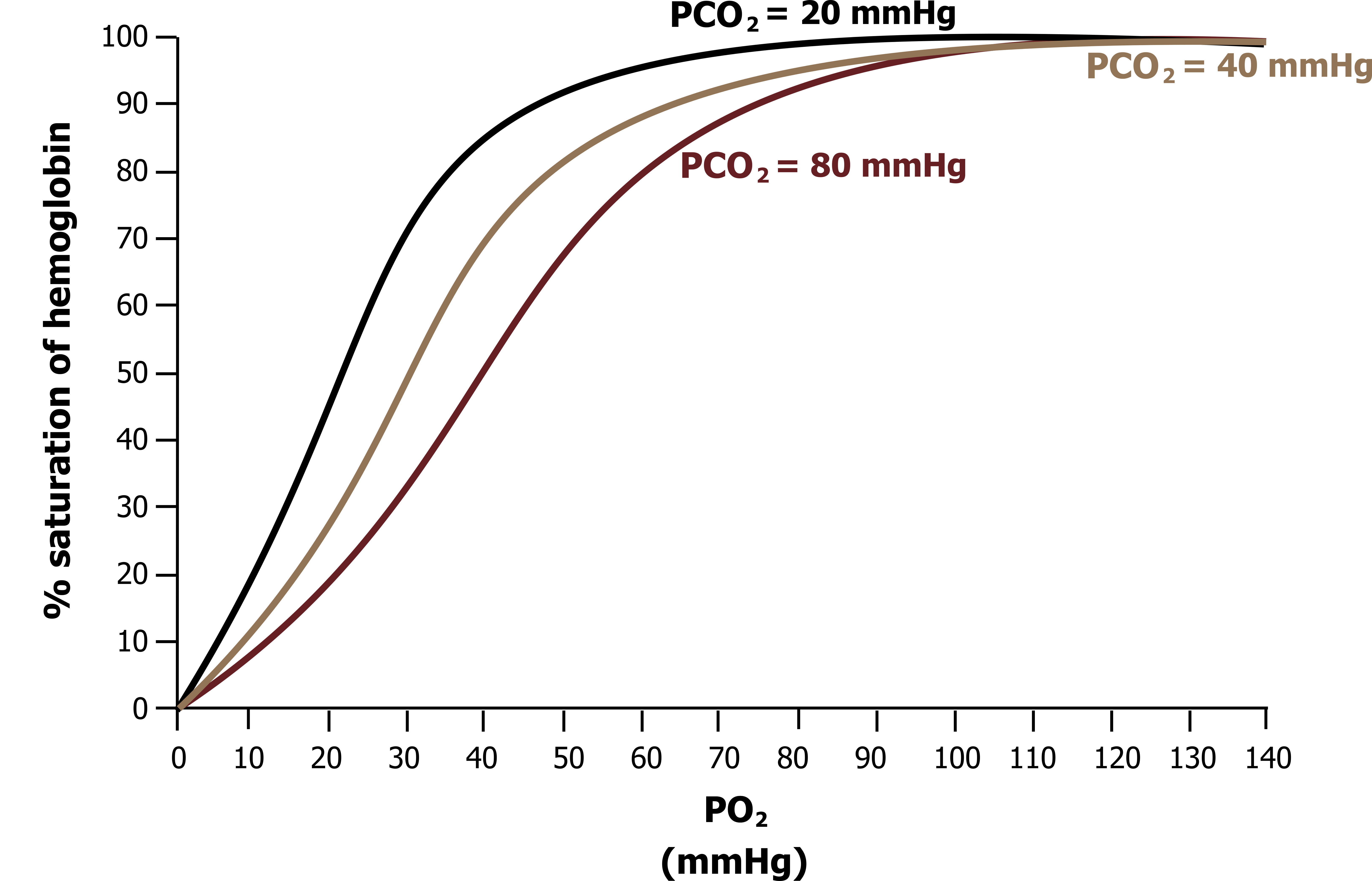 Graph with y-axis labeled % saturation of hemoglobin ranging from 0 to 100 and x-axis labeled P O2 (mmHg) ranging from 0 to 140. Oxyhemoglobin dissociation at 38℃. 3 curves labeled with different P CO2 values spaced equally apart on the x-axis, all beginning at (0,0) and ending at (140,100). From left to right 20 mmHg, 40 mmHg, 80 mmHg. All values are approximate.
