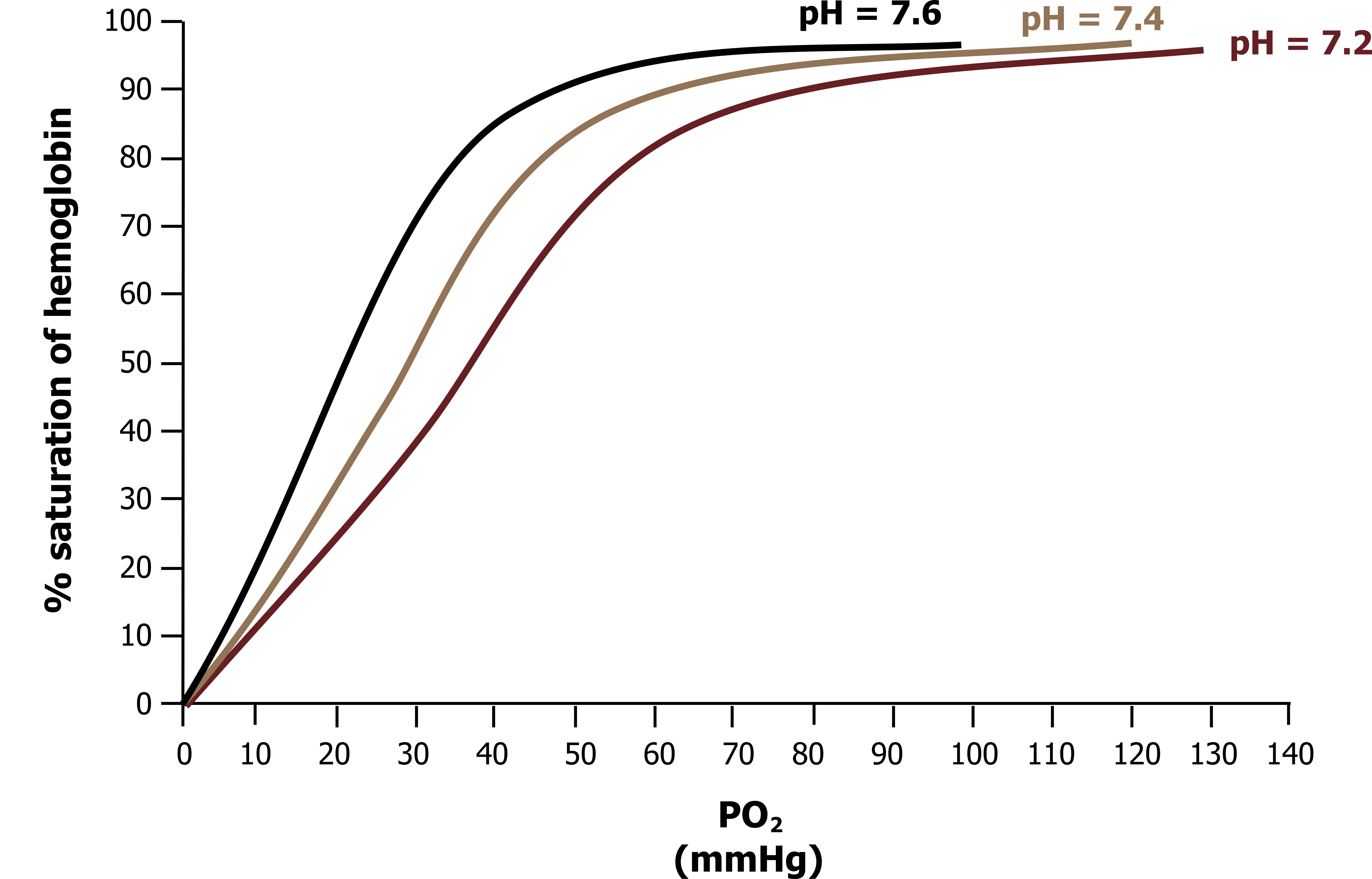 Graph with y-axis labeled % saturation of hemoglobin ranging from 0 to 100 and x-axis labeled P O2 (mmHg) ranging from 0 to 140. Oxyhemoglobin dissociation at 38℃. 3 curves labeled with different pH values, all beginning at (0,0). 7.6 ends at (95, 98). 7.4 ends at (118, 96). 7.2 ends at (130, 96). All values are approximate.