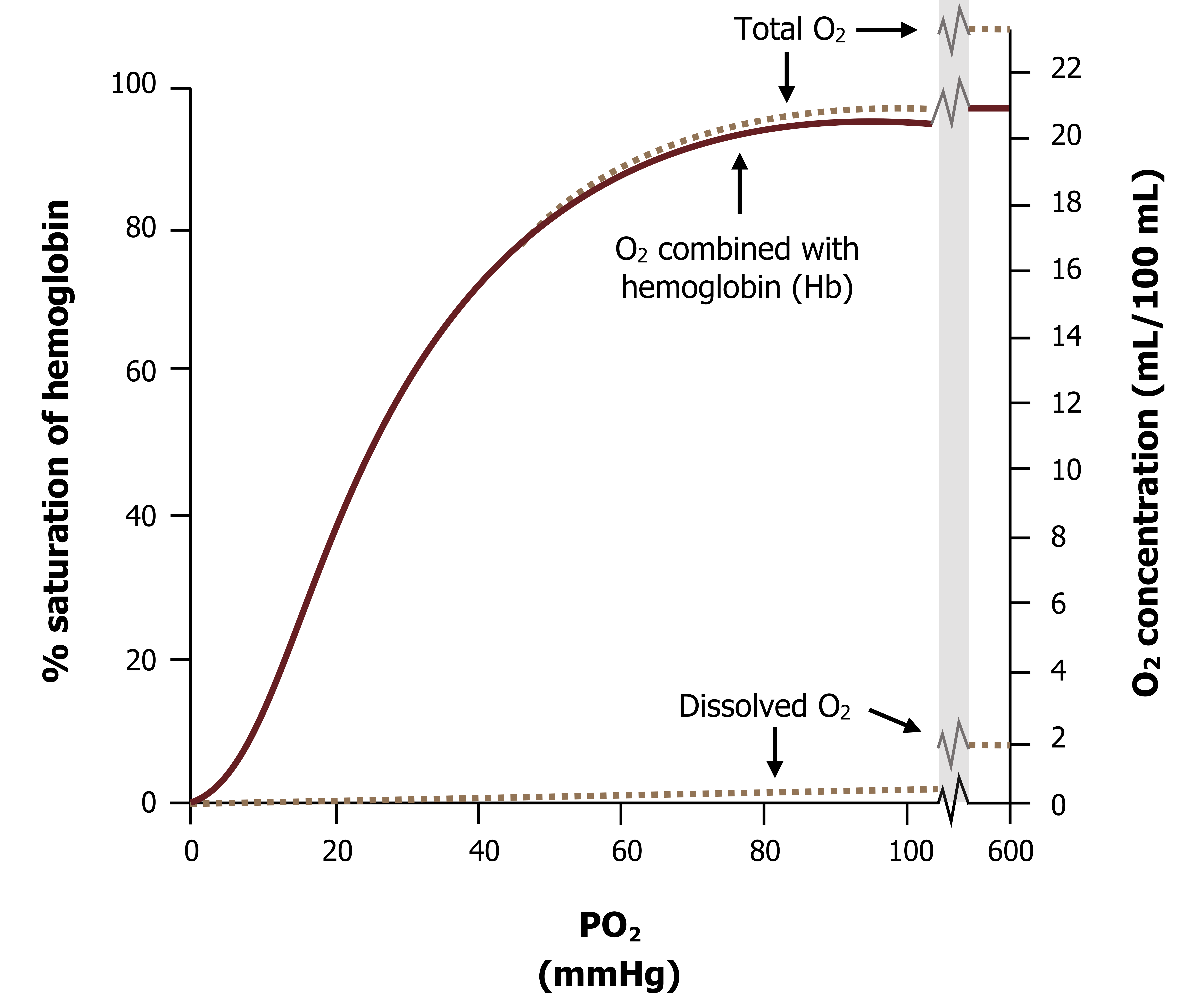 Graph with left y-axis labeled % Hb saturation ranging from 0 to 100, x-axis labeled P O2 (mmHg) ranging from 0 to 100, break in graph to 600, and right y-axis labeled O2 concentration (mL/100 mL) ranging from 0 to 23. All y values given are based on the left y-axis. Dissolved O2: Horizontal line at y=0 with slight upward trend to y=2 at x=100, break in the graph horizontal line at y=10. O2 combined with Hb: Curve ending at (100, 90) and continues to break in graph at y=95. Total O2: Similar curve shape as O2 combined with Hb, but taller ending at (100, 95) and continues to break in graph at y=100.