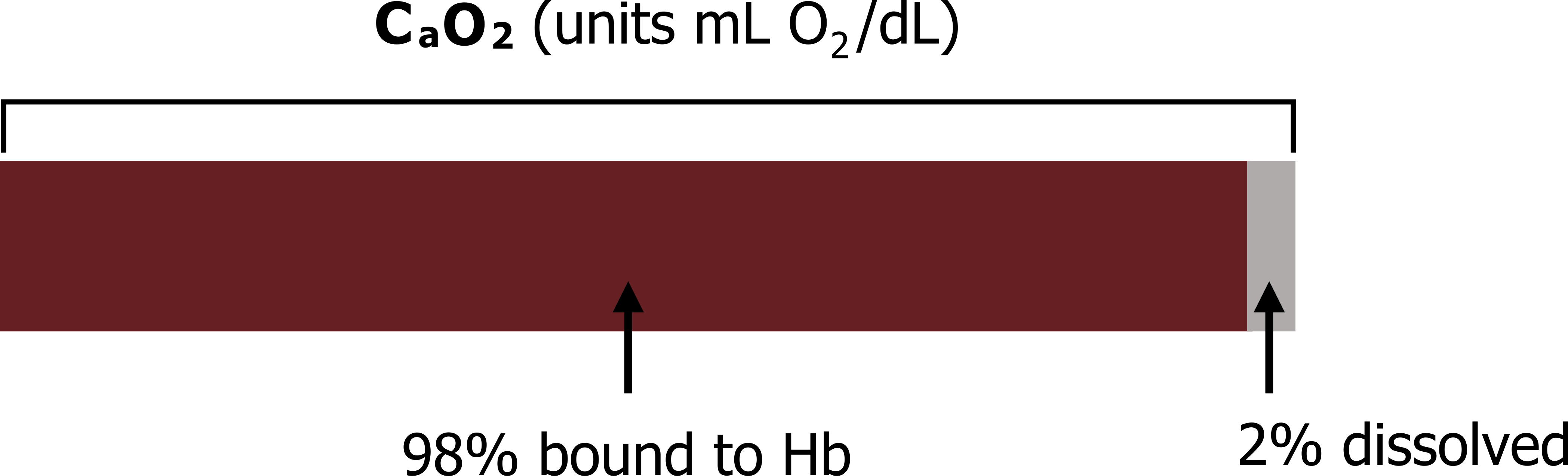 A rectangle labeled CaO2 (units mL O2/dL) divided into two sections; 98% bound to Hb and 2% dissolved.