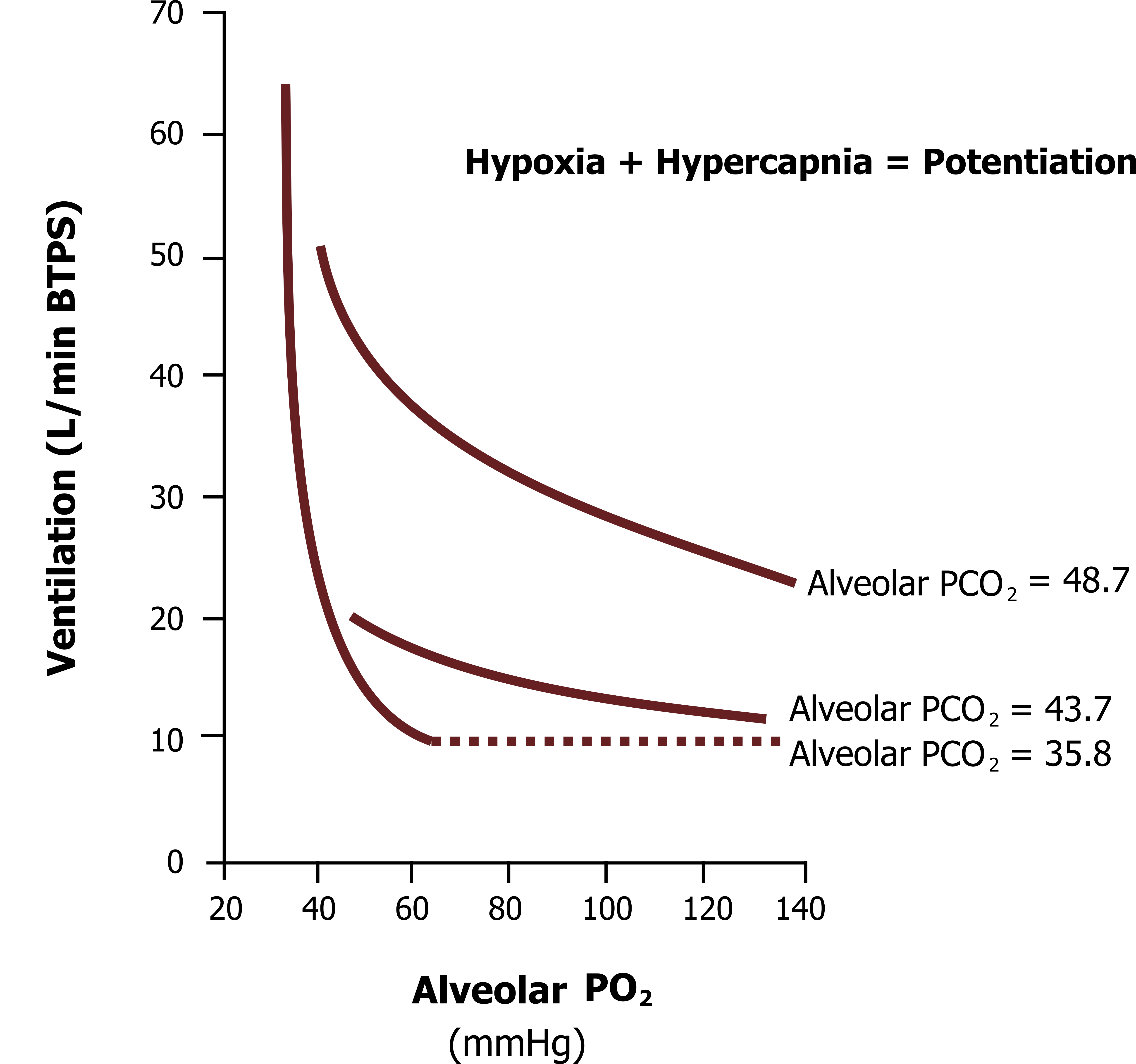 Graph with y-axis labeled Ventilation (L/min BTPS) ranging from 0 to 70 and x-axis alveolar P O2 (mm Hg) ranging from 20 to 140. 3 curves labeled with different Alveolar P CO2 values. 35.8: beginning at (40, 70), flattening out at (60, 10) and continuing as dotted lines until (140, 10). 43.7: beginning at (50, 20) and ending at (130, 12). 48.7: beginning at (42, 50) and ending at (140, 25). All values are approximate