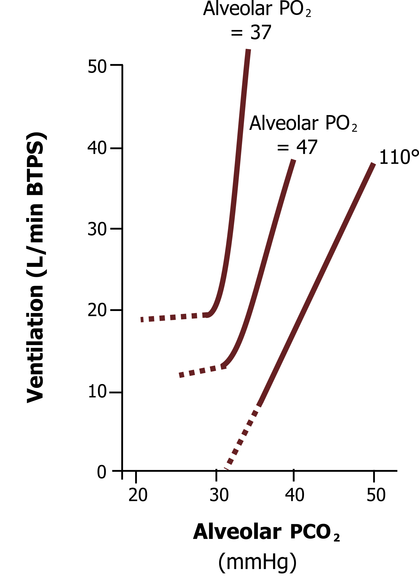 Graph with y-axis labeled ventilation (L/min BTPS) ranging from 0 to 50 and x-axis labeled Alveolar PCO2 (mm Hg) ranging from 20 to 50. 3 curves labeled with different Alveolar PO2. 37: beginning as dotted lines at (20, 18), beginning to curve at (30, 18) in a solid line and ending at (32, 54). 47: beginning as dotted lines at (25, 12), beginning to curve at (32, 12) in a solid line, and ending at (40, 38). 110° or 169: Positive linear graph beginning at (32, 0) and ending at (50, 38). The line is dotted until x=35. All values are approximate