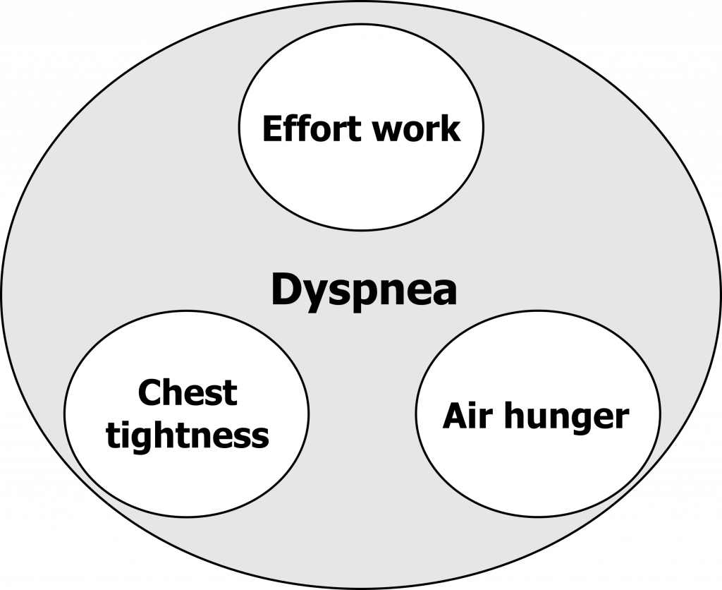 Dyspnea Pulmonary Physiology For Pre Clinical Students shortness-of-breath-what-can-cause-breathlessness