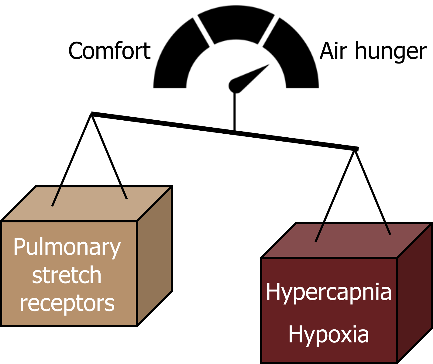 Half circle divided in half labeled comfort on the left and three levels of air hunger on the right. A scale is pictured under the half circle with pulmonary stretch receptors lifted high on the left and hypercapnia hypoxia lower on the right. Arrow from scale pointing to the first level of air hunger