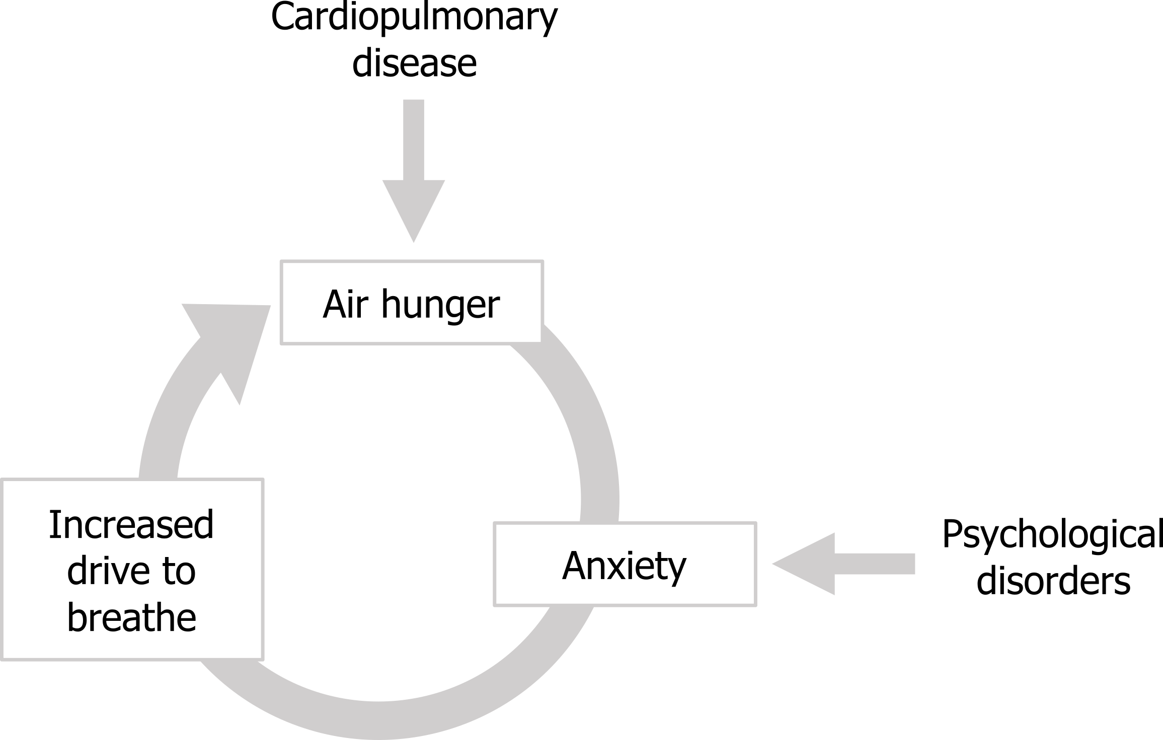 Circular arrow diagram. Text around circle clockwise: anxiety arrow increased drive to breathe arrow air hunger. Psychological disorders arrow to anxiety. CardioPulmonary disease arrow to air hunger.