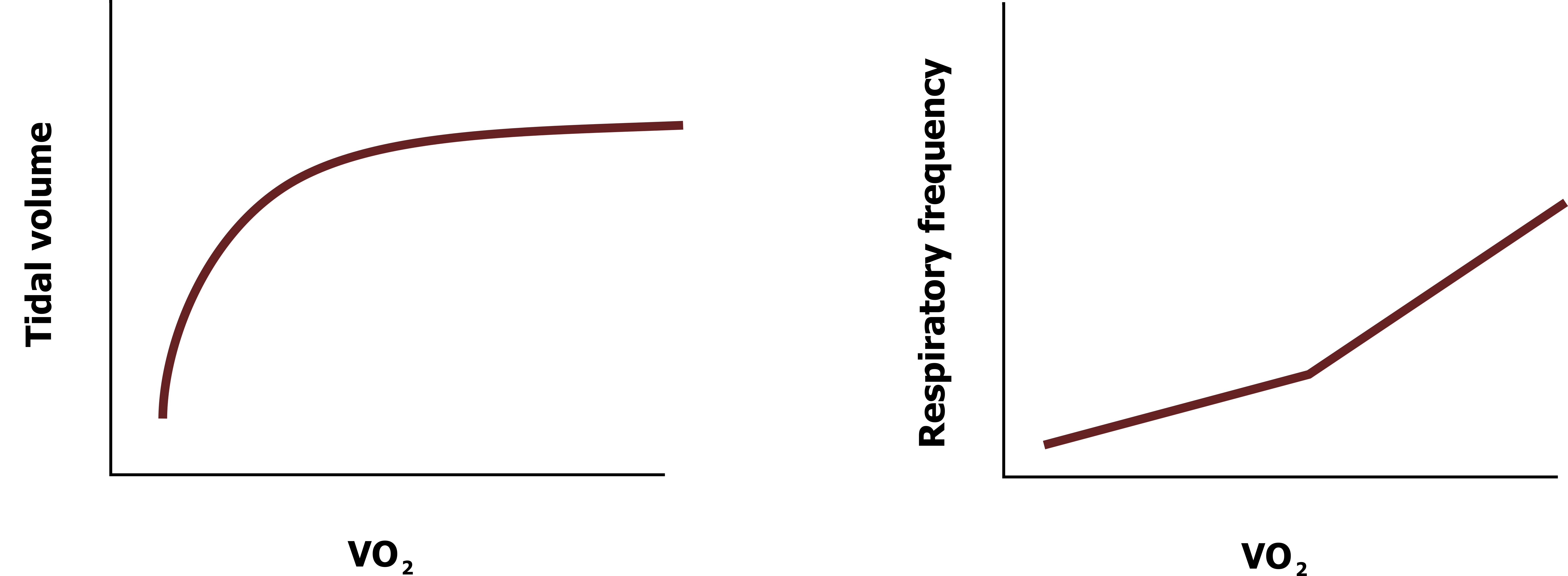 a: Graph with y-axis tidal volume and x-axis VO2. Logarithmic line which flattens out at approximately 3/4 on the x-axis. b: Graph with y-axis respiratory frequency and x-axis VO2. Exponential curve.