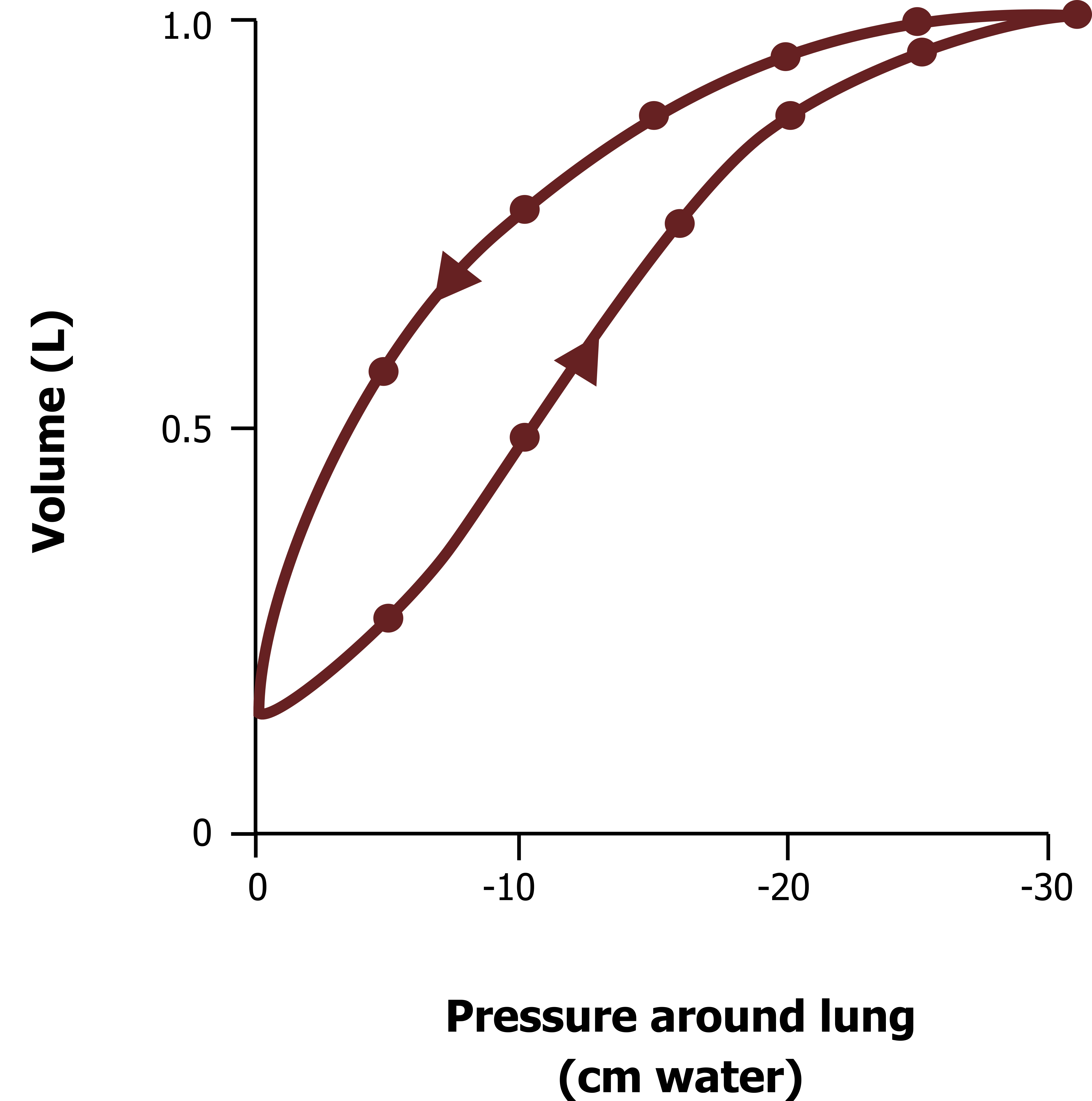 Graph with y-axis labeled volume (I) from 0 to 1.0 and x-axis labeled pressure around lung (cm water) from 0 to -30. Line 1: Parabolic curve beginning at (0, 0.1) and ending at (-30, 1.0). Line 2: Exponential curve beginning at (0, 0.1) and ending at (-30, 1.0). All values are approximate.