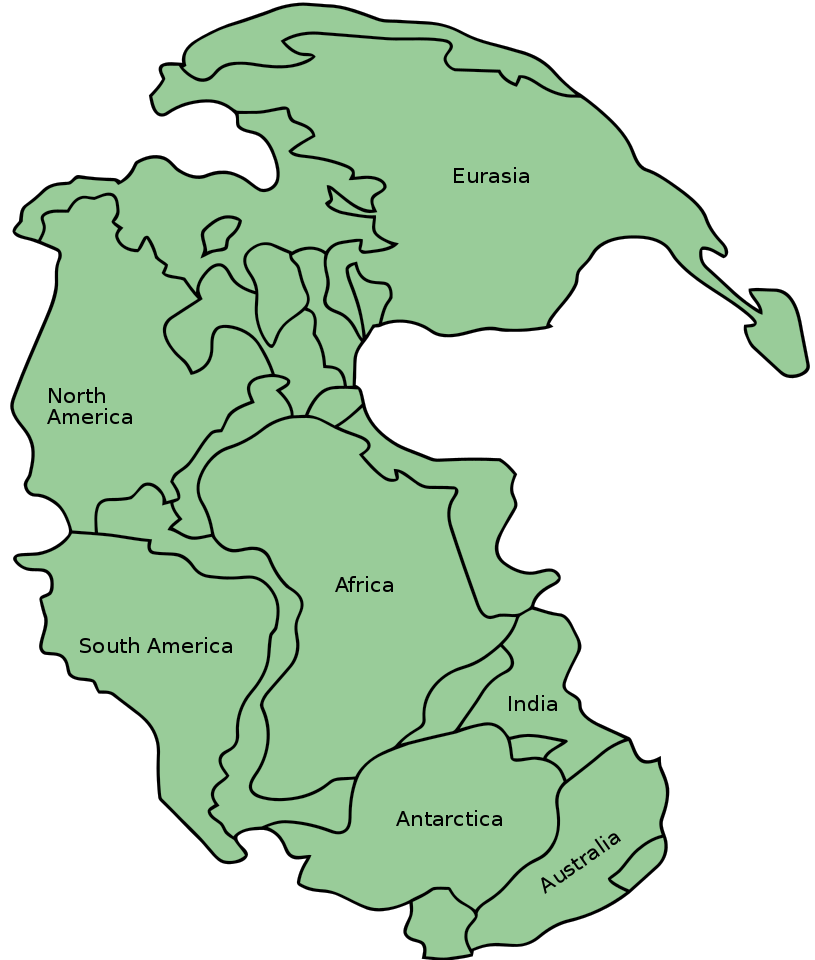 Map of crescent-shaped Pangaea with all of the modern continents placed together: Eurasia is located at the top of the map, followed by North America to the lower left of Eurasia, South America below North America, Africa to the right of South America, India to the right of Africa, Antarctica below India and Africa, and Australia to the lower right of Antarctica and India.