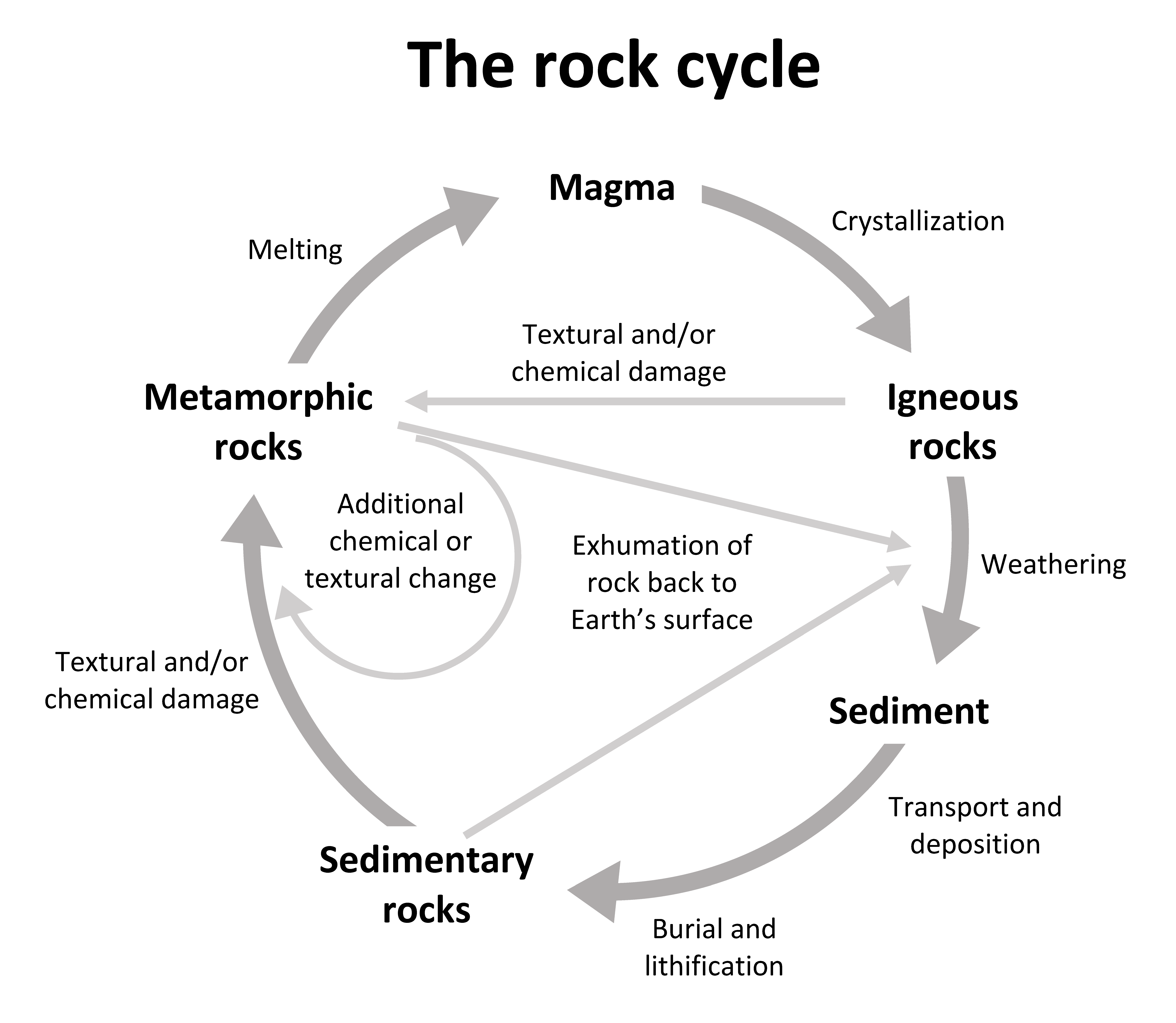 The rock cycle (clockwise). Magma turns to Igneous rock through crystallization. Igneous rocks turn to sediment through weathering. Sediment turns to sedimentary rocks through transport and deposition and burial and lithification. Sedimentary rocks turn to metamorphic rocks through textural and or chemical damage. Metamorphic rocks turn to magma through melting. Igneous rocks turn to metamorphic rocks through textural and/or chemical damage. metamorphic and sedimentary rocks endure weathering by exhumation of rock back to Earth's surface.