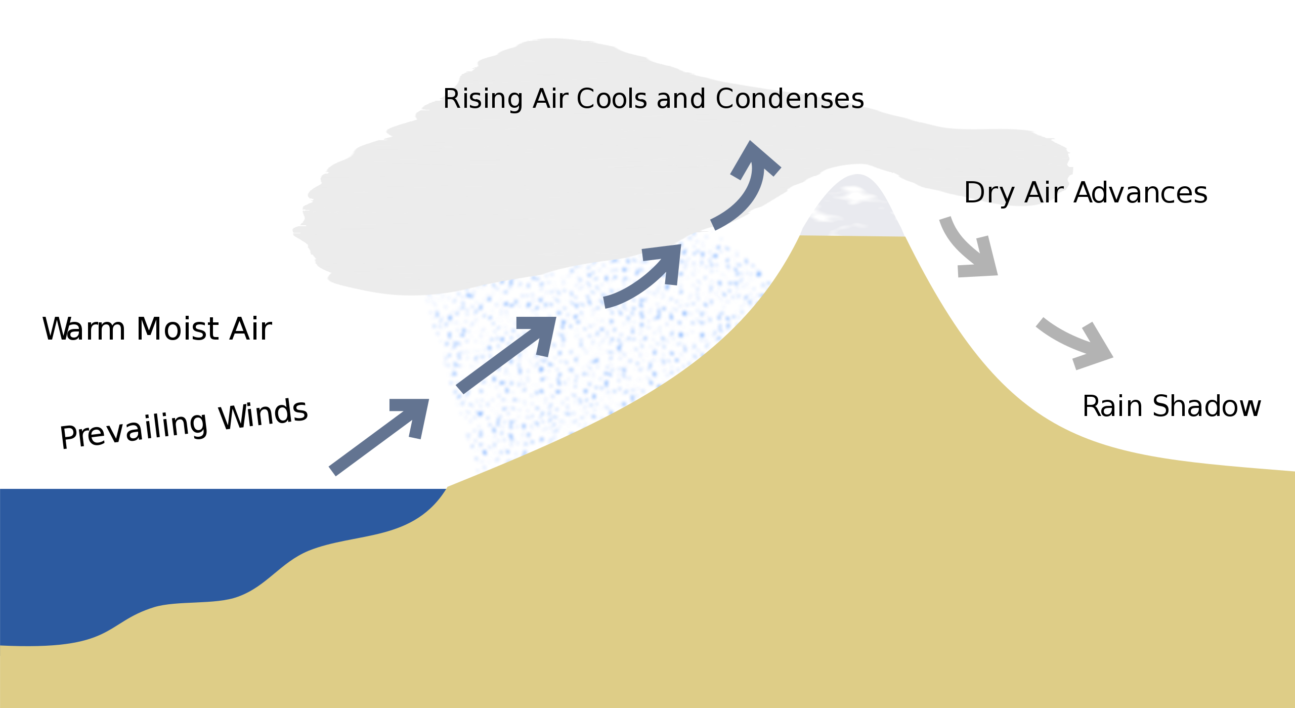 Mountain with water body on the left. From left to right: Prevailing winds carry warm moist air up the mountain. At top: rising air cools and condenses. On the way down the mountain: dry air advances and casts a rain shadow.