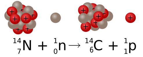 Formation of carbon-14 from nitrogen-14.