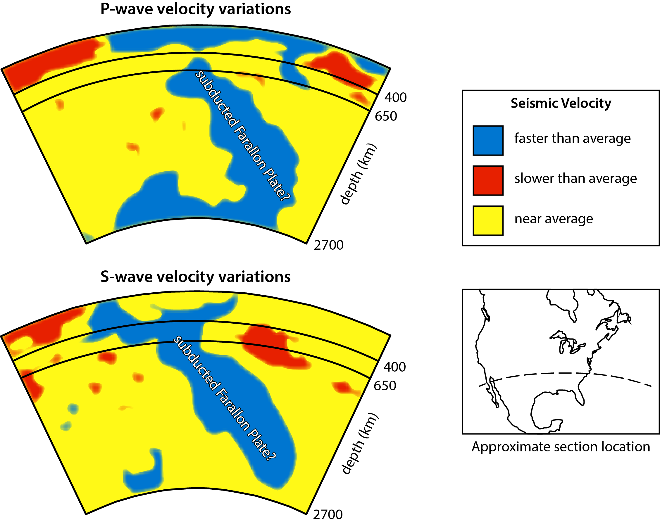 Two cross sections across the United States with the following color-coded seismic velocities: blue represents faster than average, red represents slower than average, and yellow represents near average. The top cross section is labeled P-wave velocity variations and there is a visible angled slab colored in blue that goes from about 420 km depth down toward the bottom of the diagram at 2700 km depth, labeled subducted Farallon Plate?; there is also blue along the top of the diagram near the center, with red blobs on the left and right near the surface; the rest is colored yellow. The bottom cross section is labeled S-wave velocity variations and there is a visible angled slab colored in blue that goes from the surface down toward the bottom of the diagram and ends at 2600 km depth, labeled subducted Farallon Plate?; there are small red blobs on the left near the surface as well as toward the right at depths of 400 to 700 km; the rest is colored yellow.