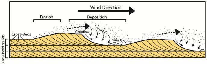 Diagram shows wind direction moving right and sand moving the same way swooping under.