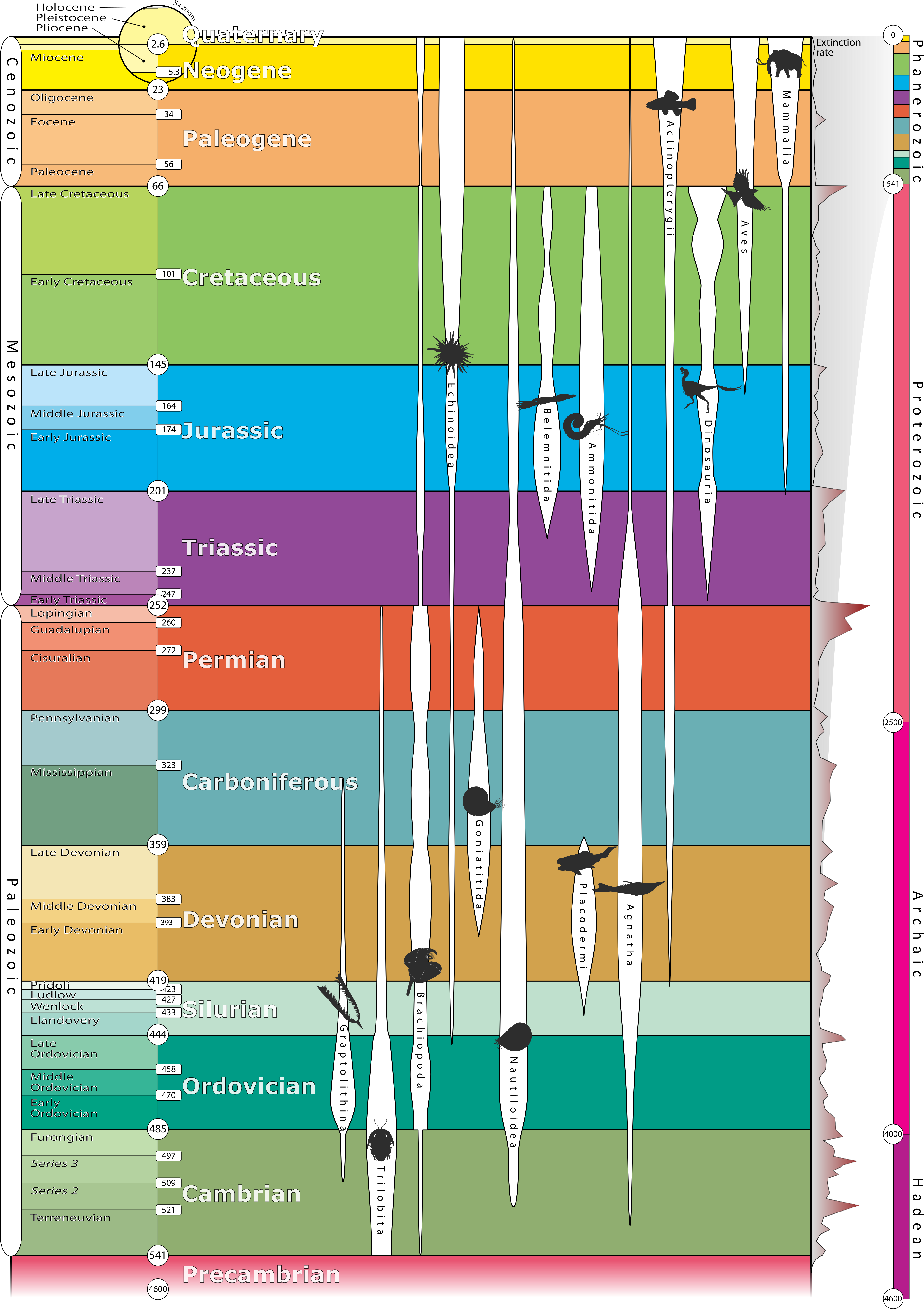 Diagram of the geologic time scale, from the Periods Precambrian through the Quaternary, with a vertical age axis from 4600 to 0 million years; to the right are various index fossils with bars that extend partially or fully through the time scale.