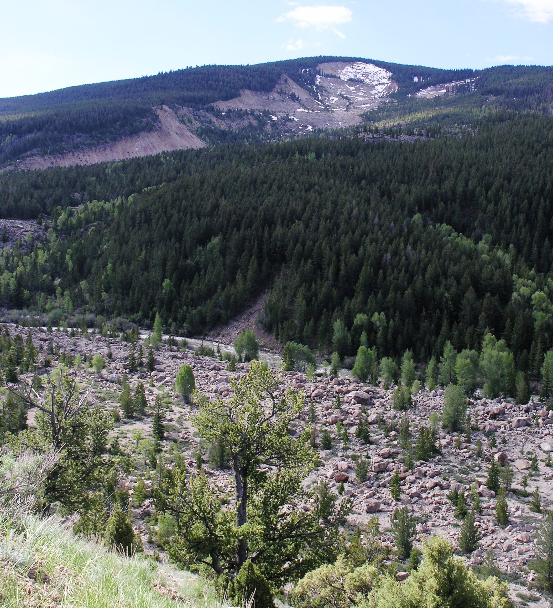 Mountain in the background with a visible scar of missing vegetation on the slope with rubbly rock deposits in the foreground.