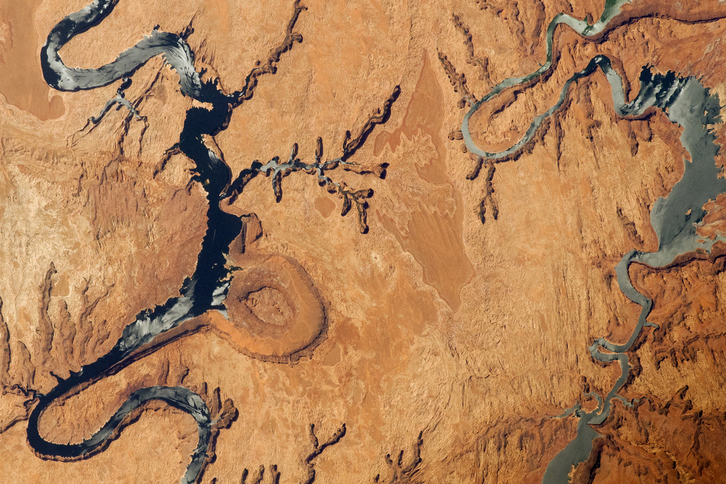 Astronaut-taken photograph of two long branches of Lake Powell, which extends across southeastern Utah and northeastern Arizona. The serpentine surface of the reservoir is highlighted by gray regions of sunglint and follows the incised course of the canyon, surrounded by a tan landscape. The two branches of the lake are connected by a bend to the southwest which is cut off at the bottom of the photo.