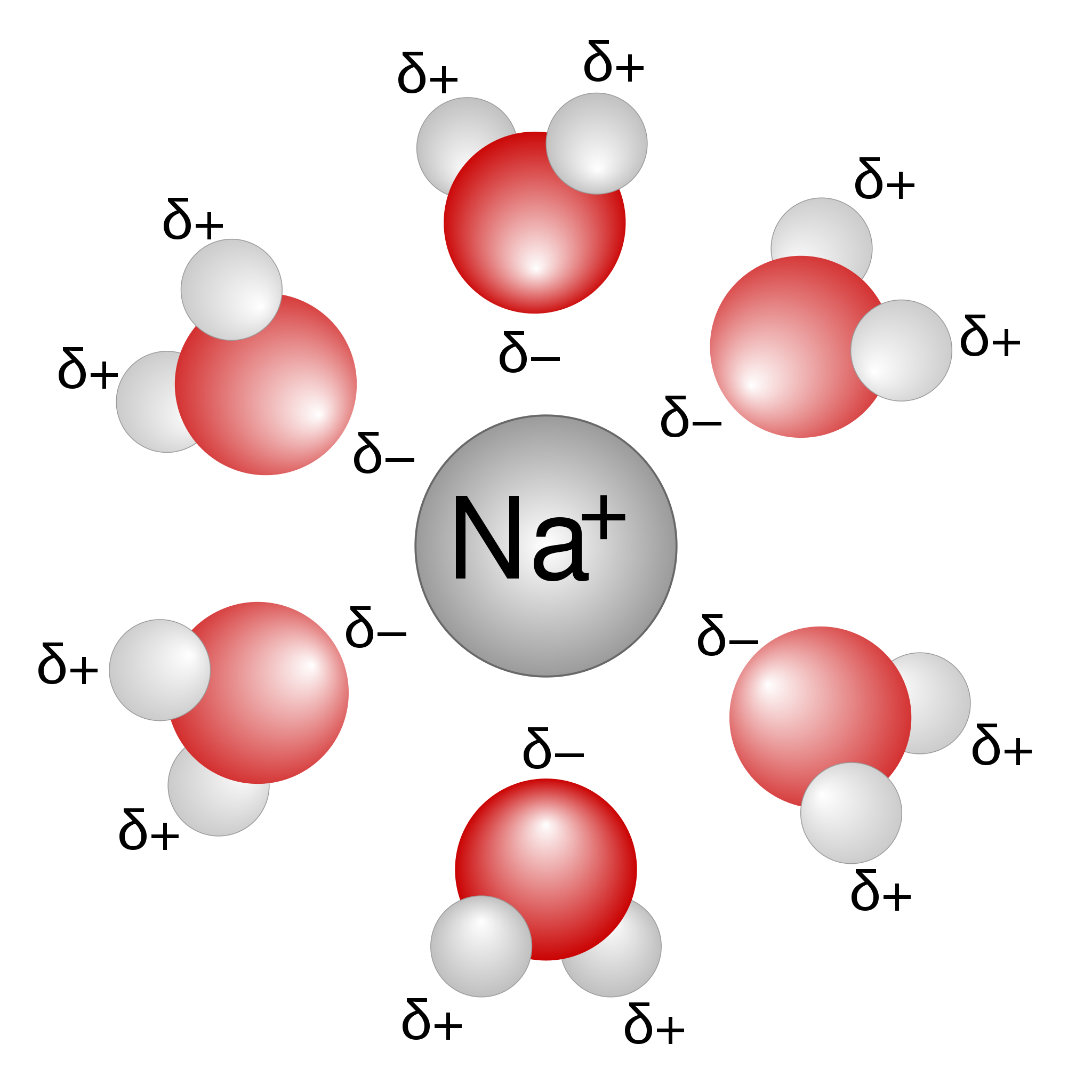 Diagram with a sodium atom at the center and six water molecules surrounding the sodium atom. The center atom is gray, labeled "Na+". The surrounding molecules each have one red oxygen and two gray hydrogen atoms with the Greek symbol delta labeling each atom; the hydrogen atoms each have delta+ while the oxygen atoms which all face the center sodium atom each have delta-.
