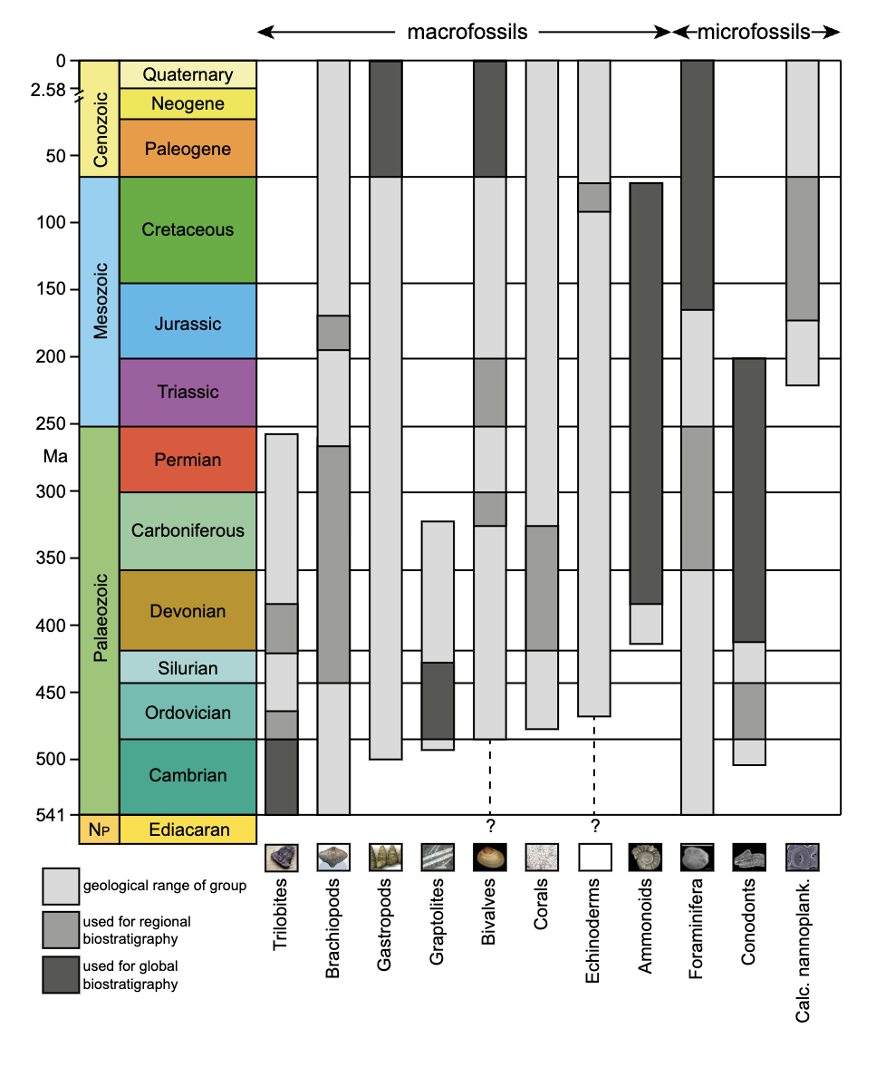 geologic time scale circle chart