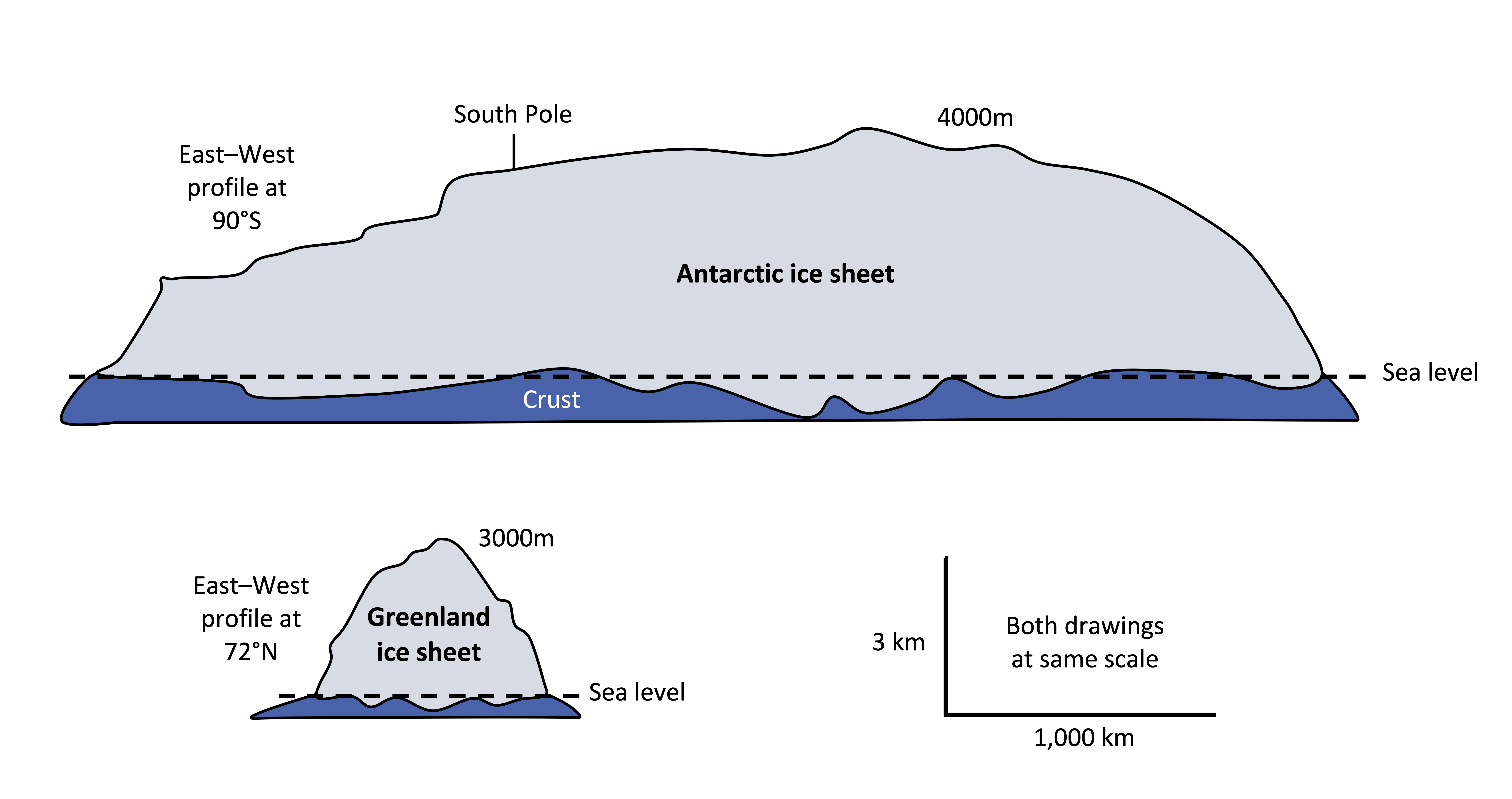 Antarctic ice sheet is very wide (roughly 6,000km). Greenland ice sheet is narrower (roughly 1,000 km). Both ice sheets have roughly the same height. Crust of each ice sheet remains at or below sea level.