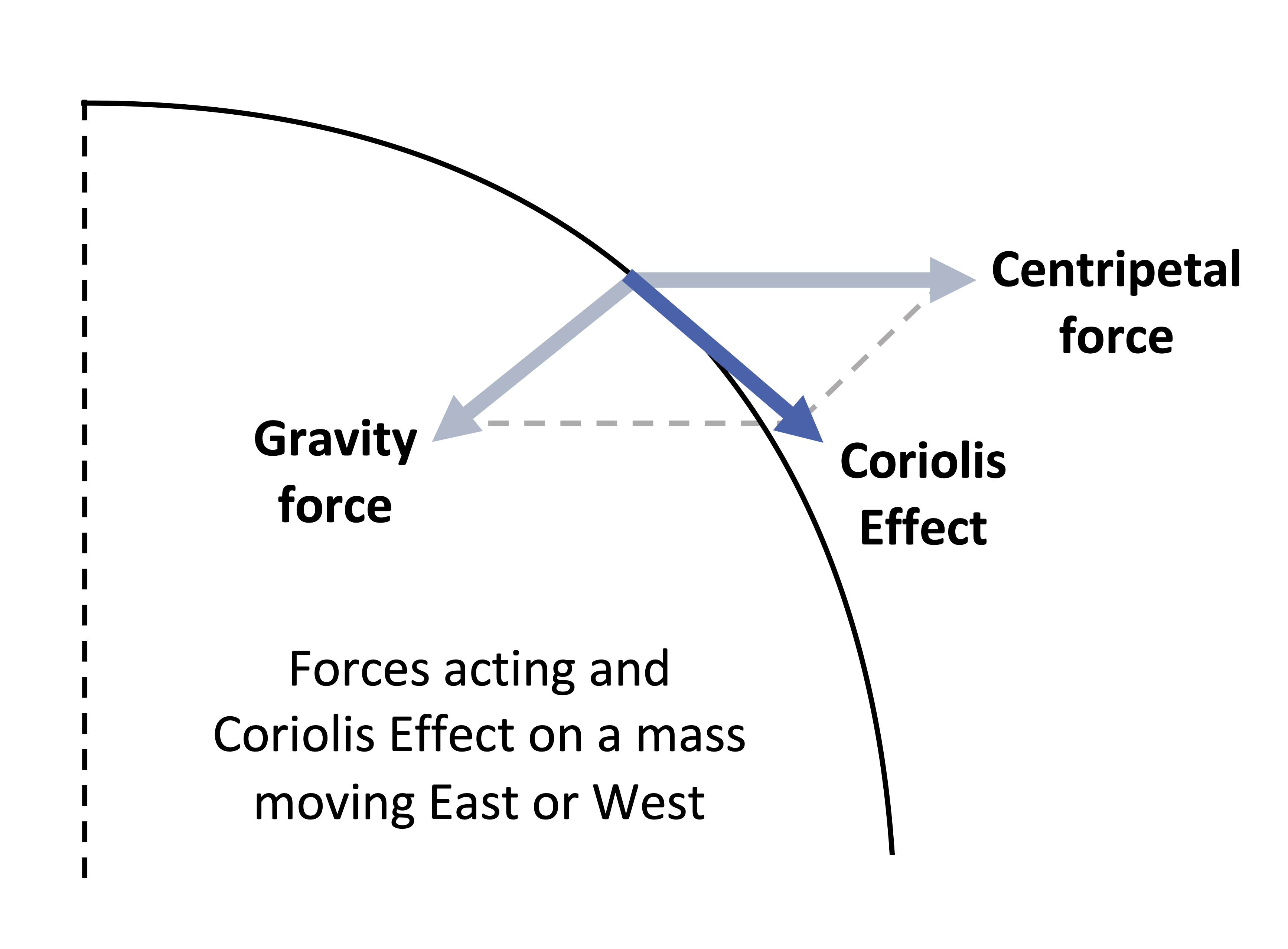 Schematic diagram showing forces acting on a mass moving East or West on the rotating Earth. As the Earth rotates, centripetal force pushes the mass outward while gravity force pulls the mass toward the center of Earth; combined, the Coriolis effect is between these two forces.