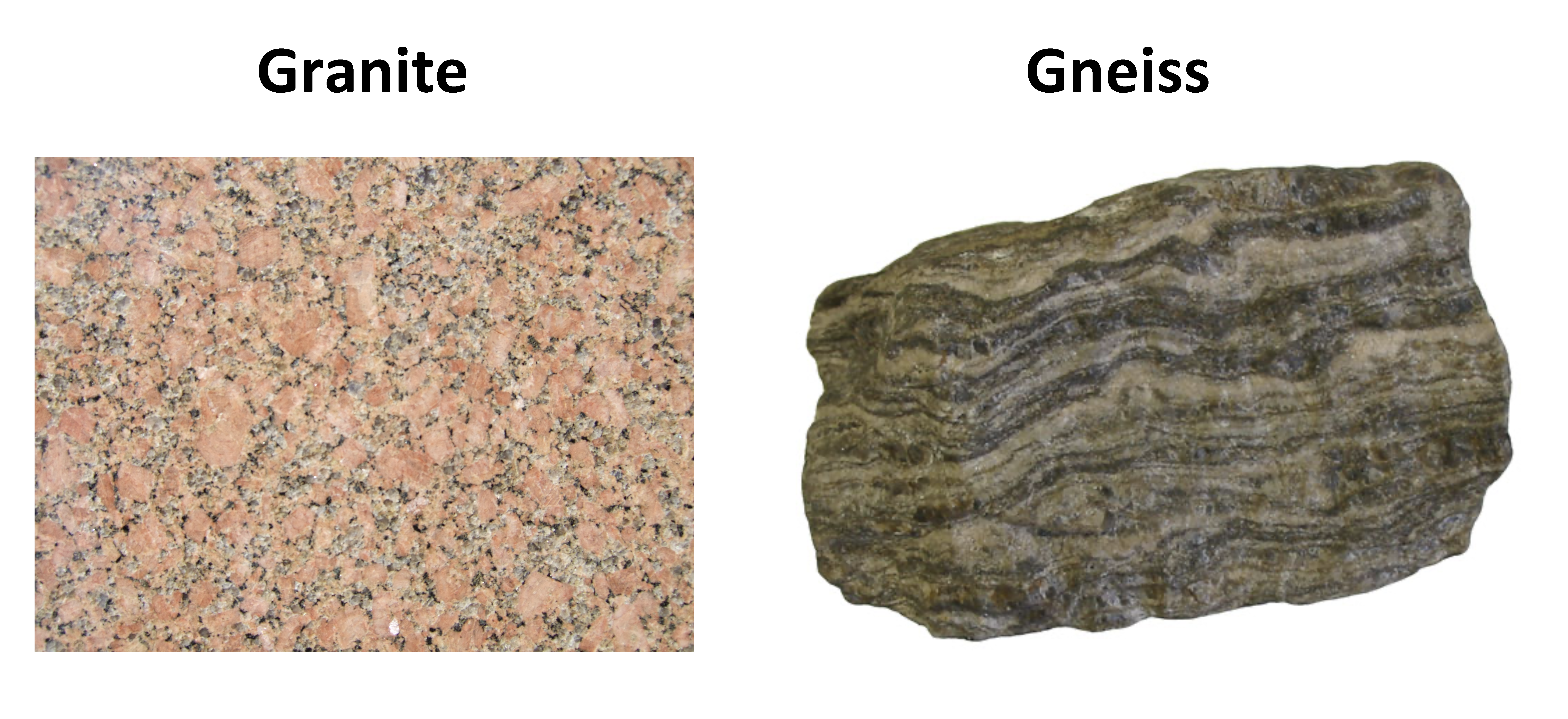 Two rocks with very similar colors. One is a granite and another is a gneiss that has aligned dark minerals.