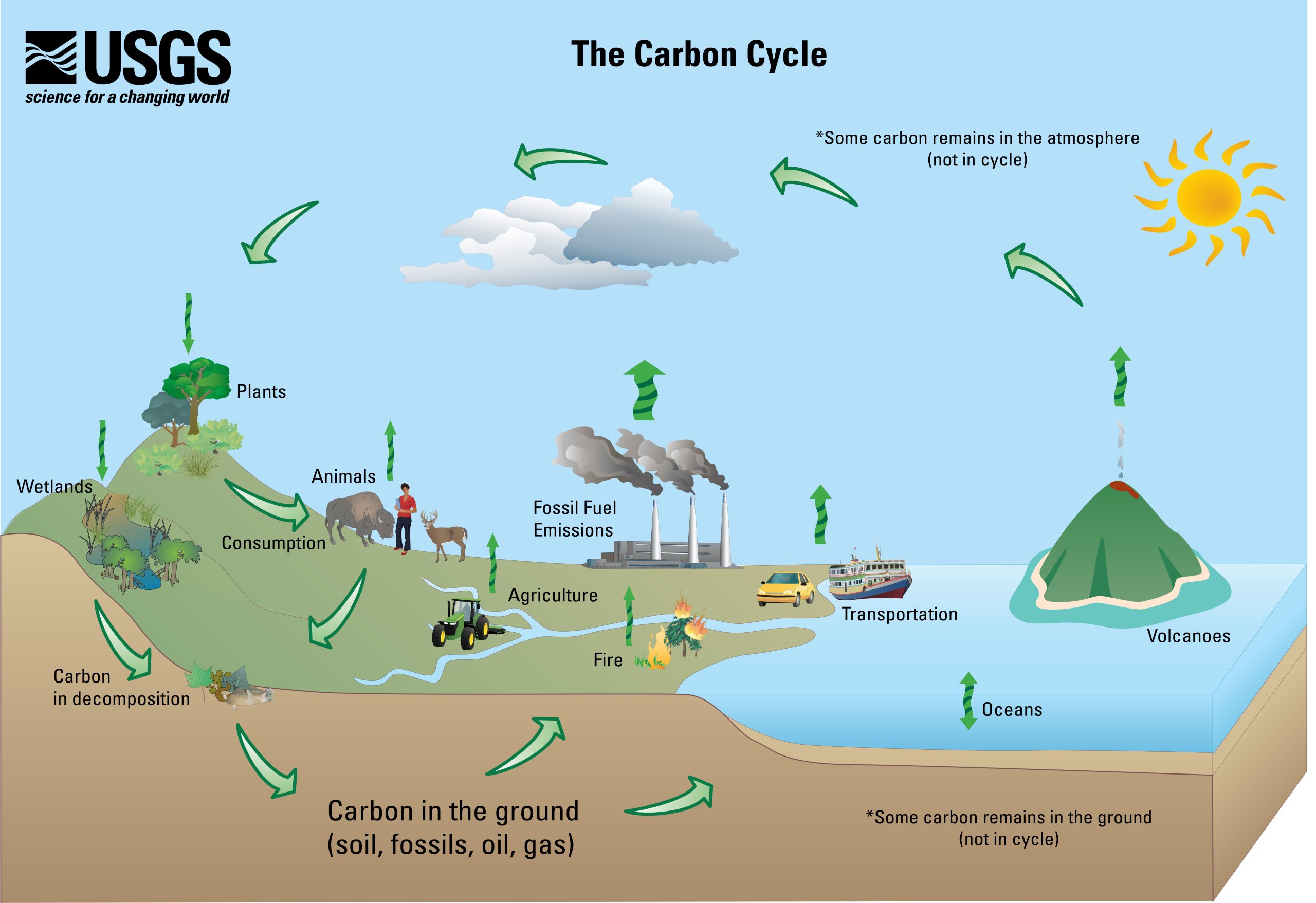 Figure shows how carbon moves between reservoirs such as the ocean, atmosphere, biosphere, and geosphere.