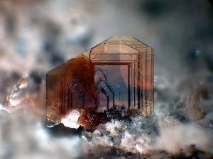 Dark brown crystals of biotite mica showing sheet-like habit